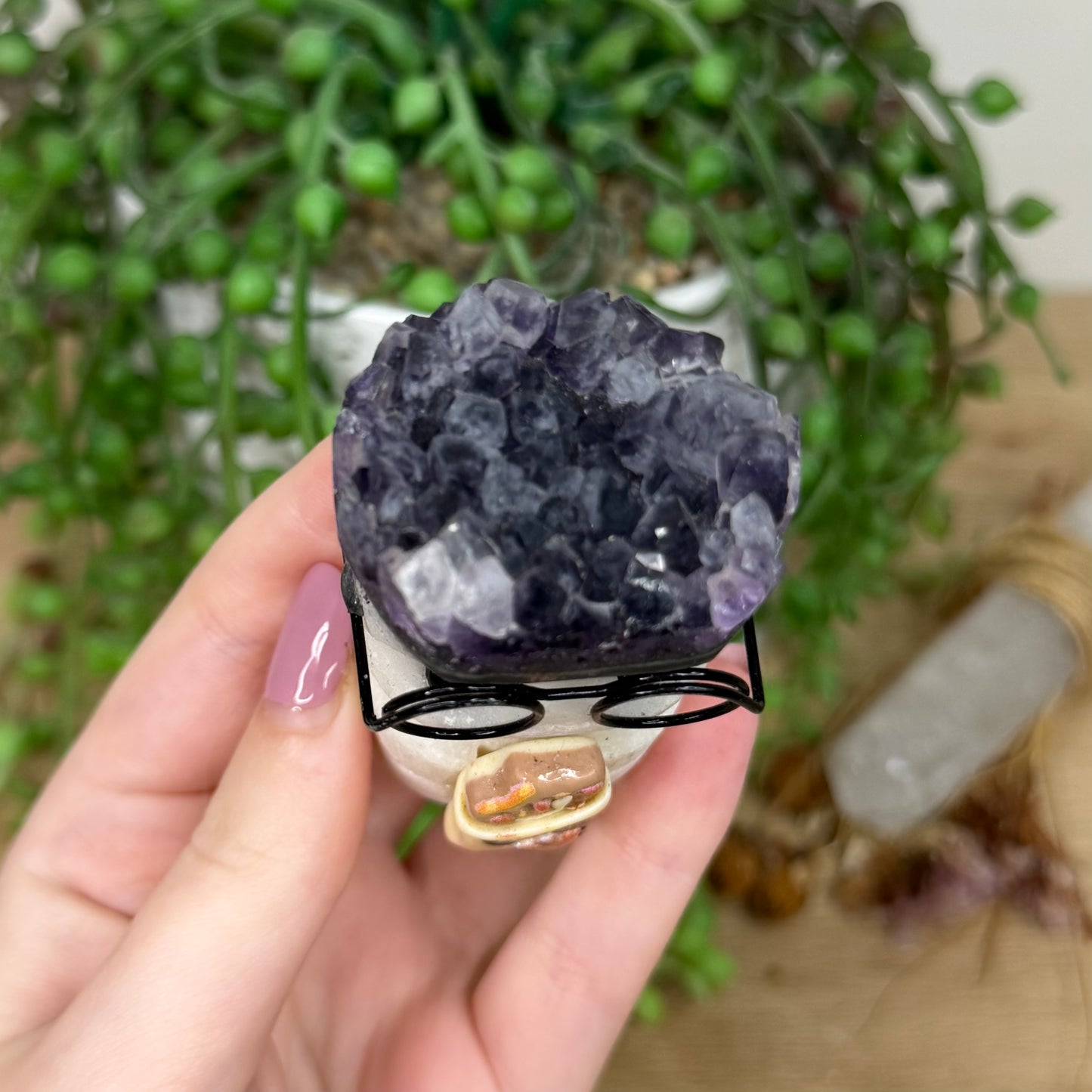 Amethyst Cluster Glasses Pet Rock (Y875)
