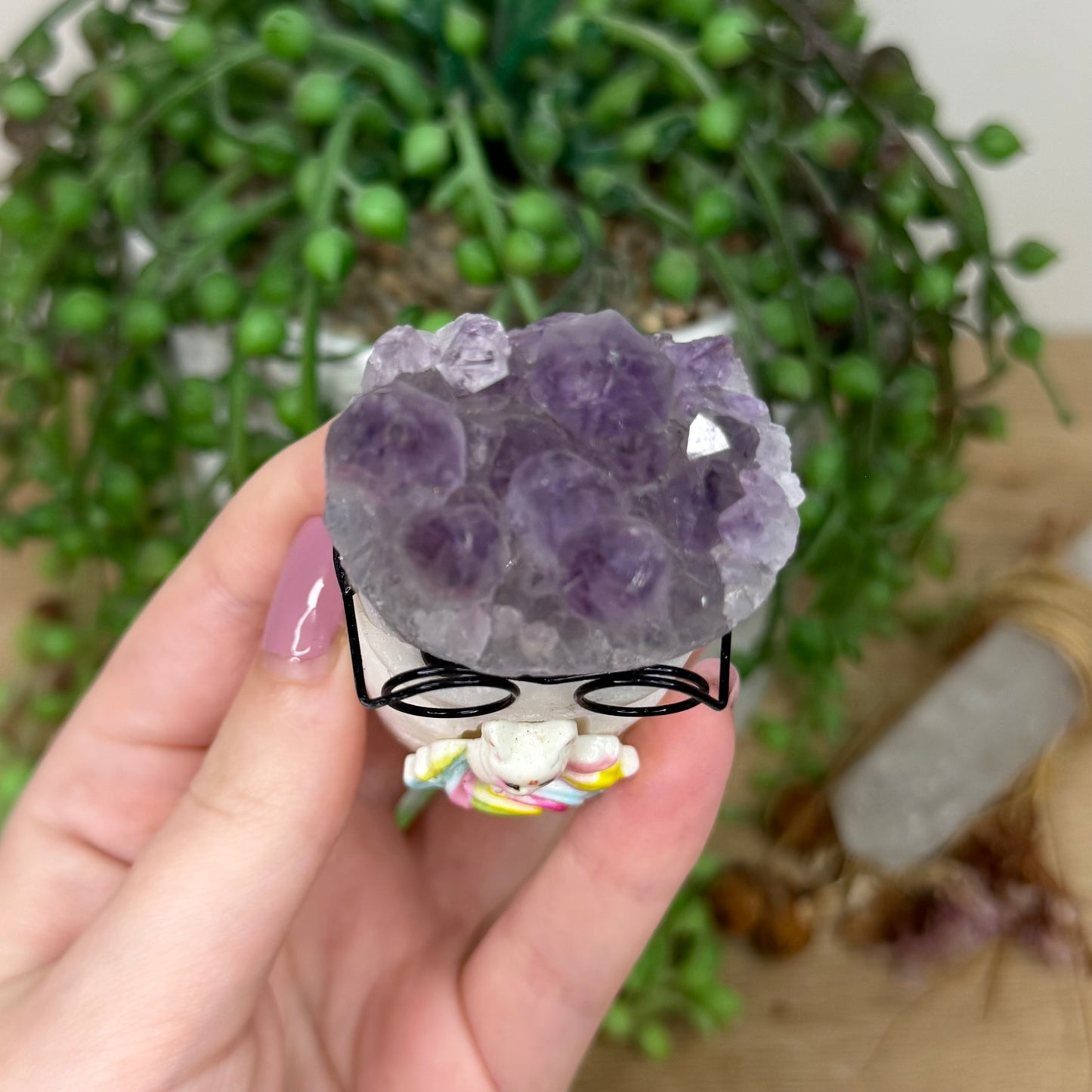 Amethyst Cluster Glasses Pet Rock (Y874)