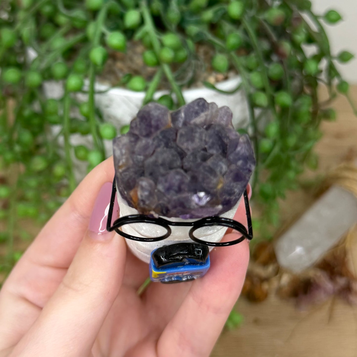 Amethyst Cluster Glasses Pet Rock (Y870)