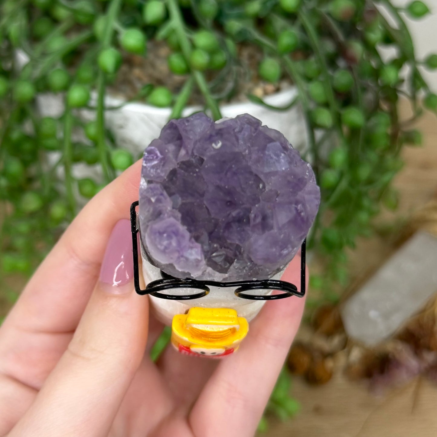 Amethyst Cluster Glasses Pet Rock (Y872)
