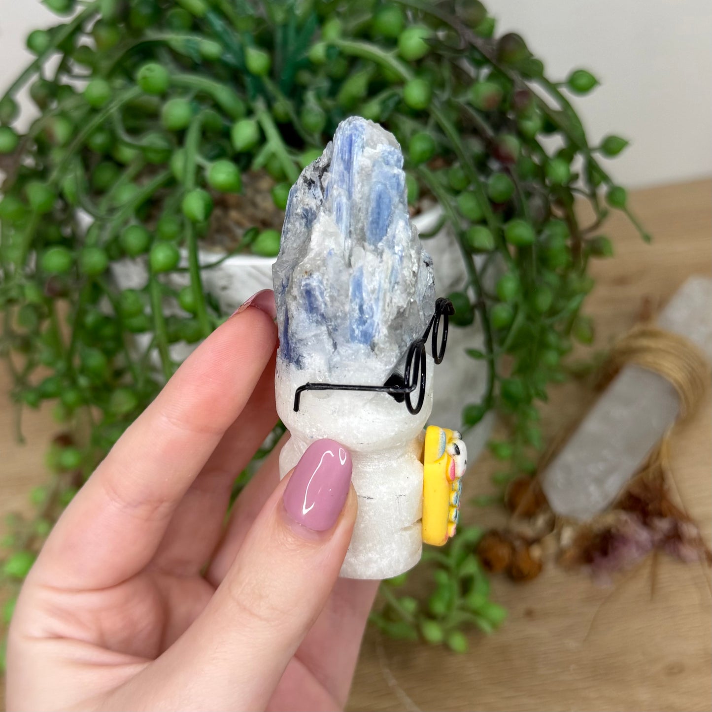 Blue Kyanite Glasses Pet Rock (Y878)