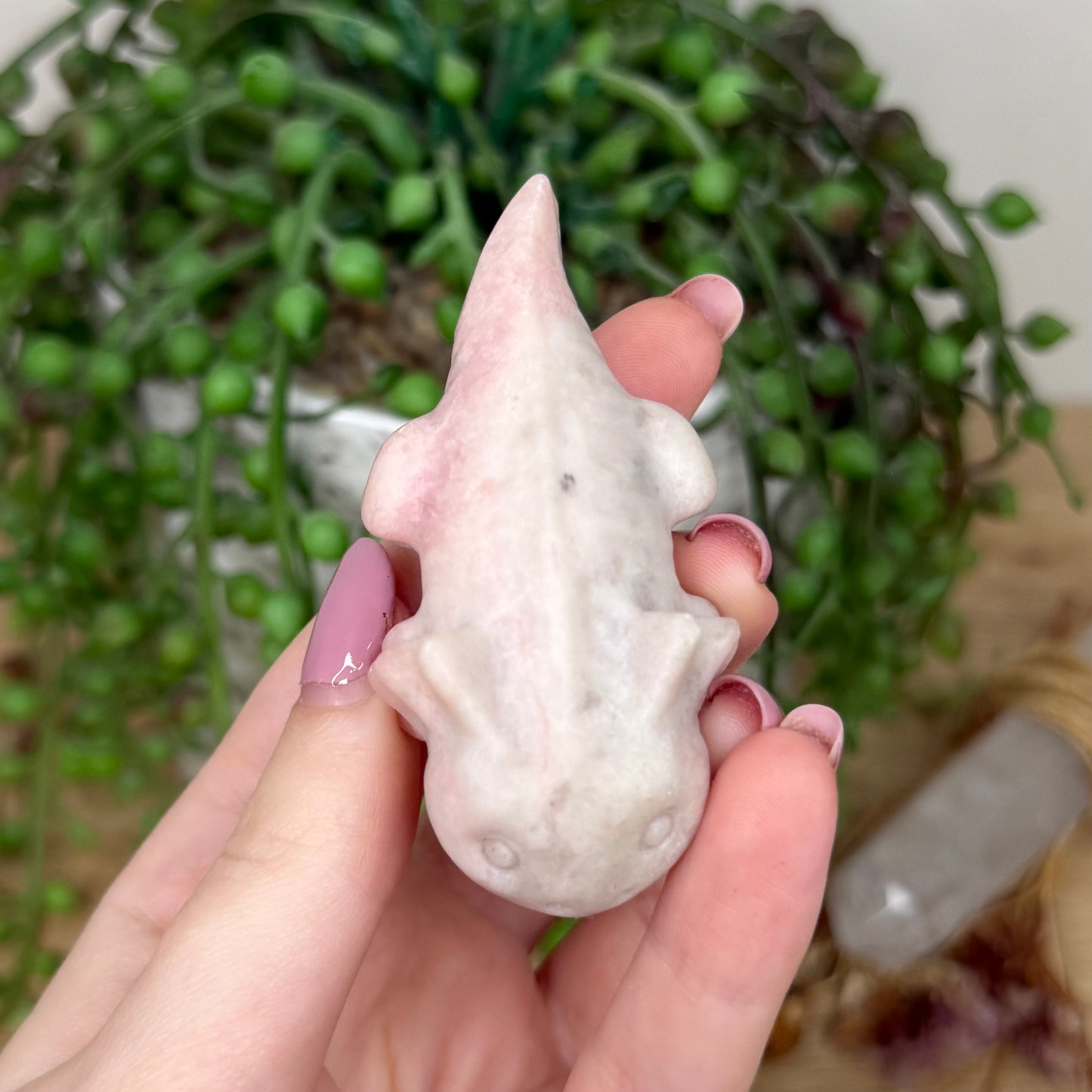 Pink Opal Axolotl (Y439)