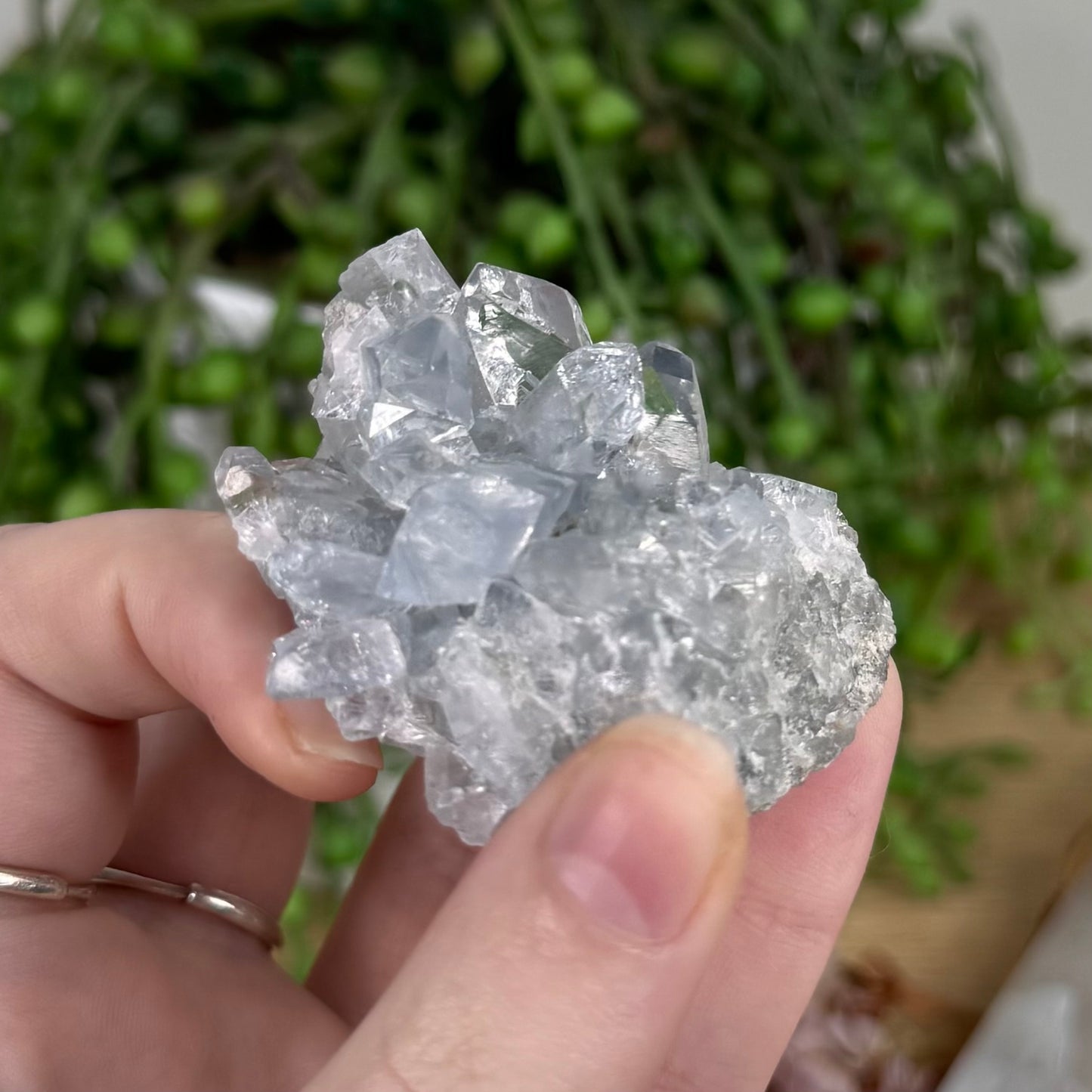 Terminated Blue Celestite Cluster (S704)