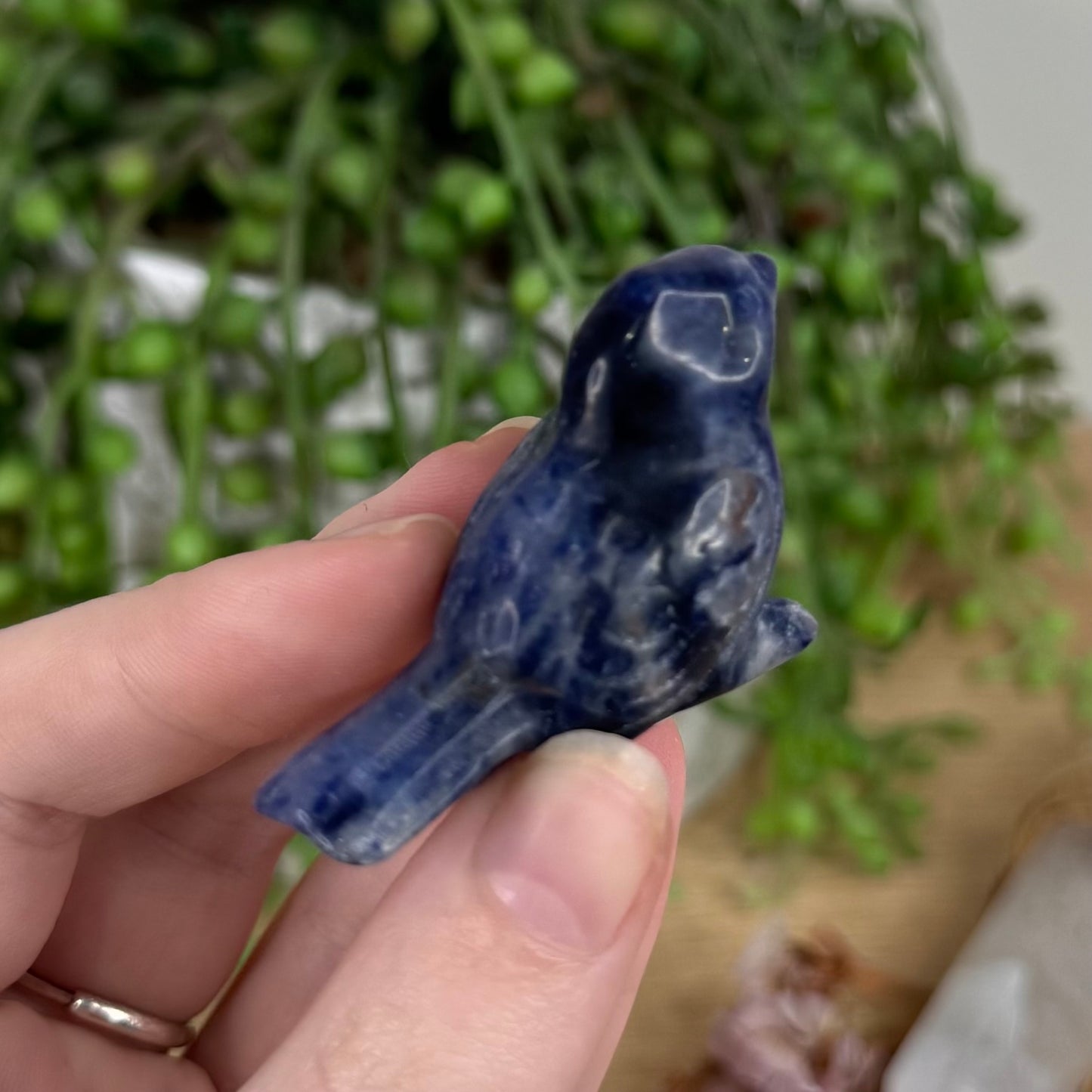 Sodalite Bird (S700) (S703) (S701) (S702)