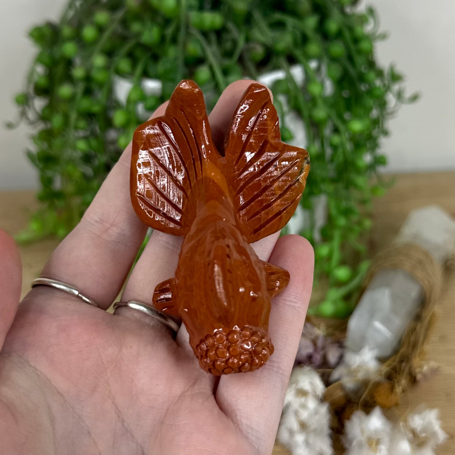 Red Jasper Fish (O271)