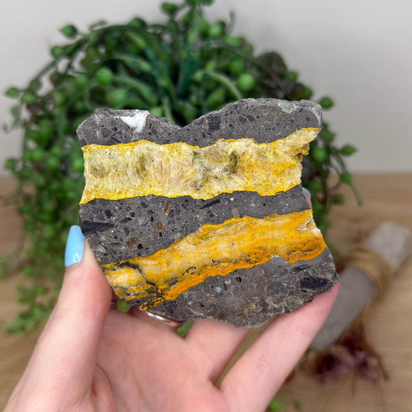 Bumble Bee Jasper Slab (Z13)