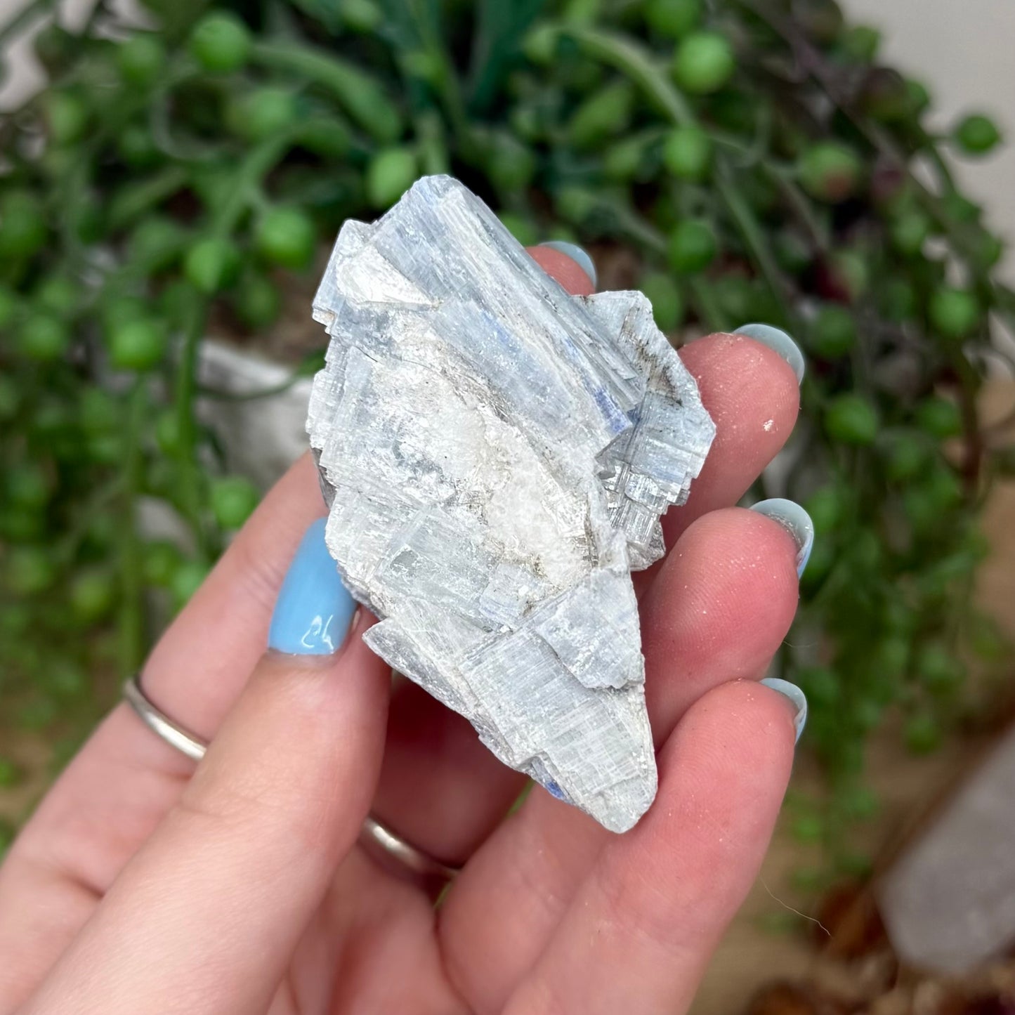 Blue Kyanite Cluster 1 (Y921)