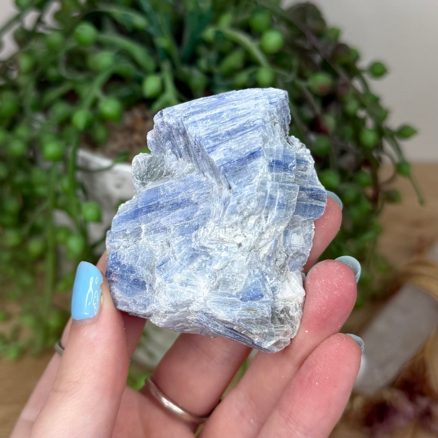 Blue Kyanite Cluster 3 (Y922)