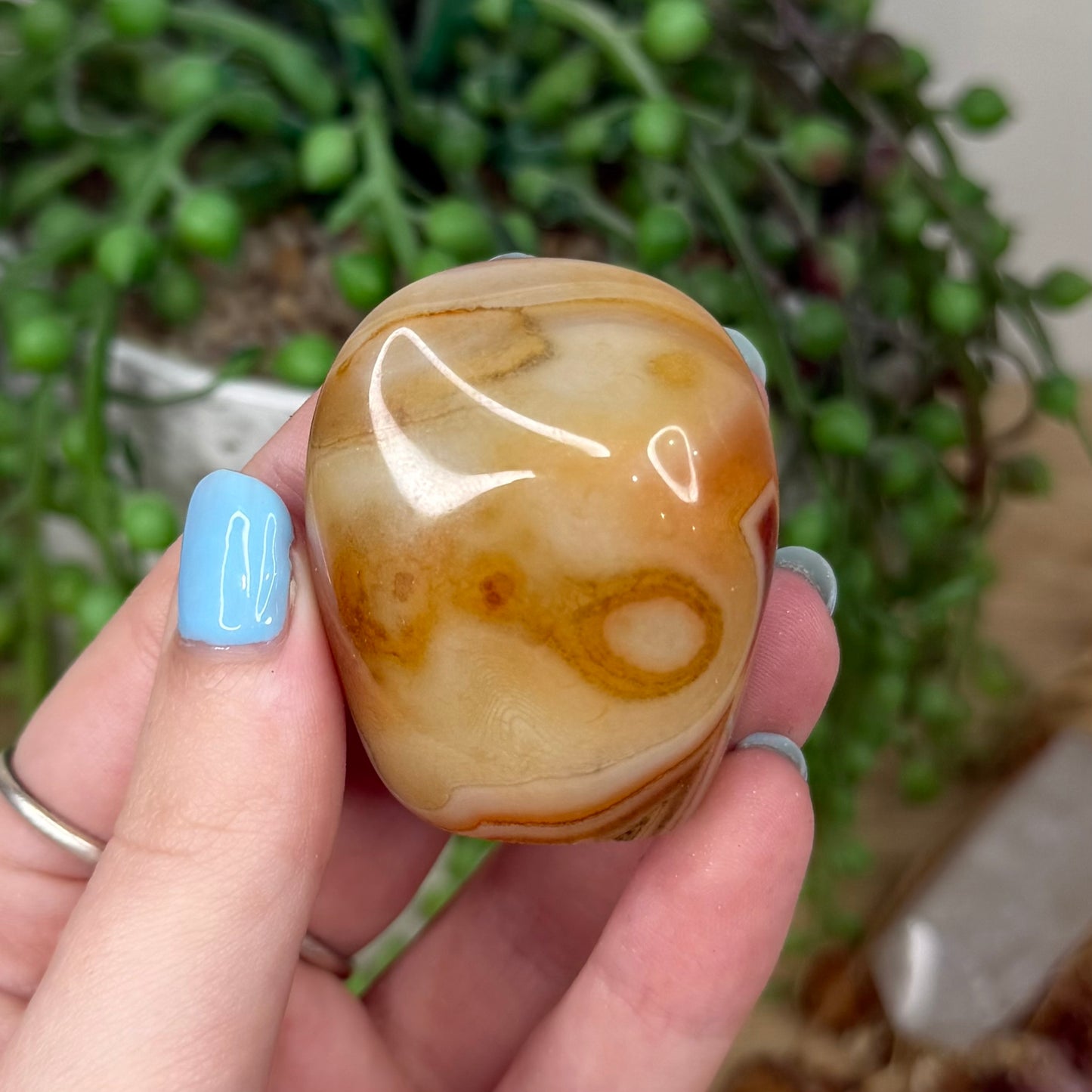 Sardonyx Pet Rock (Z18)