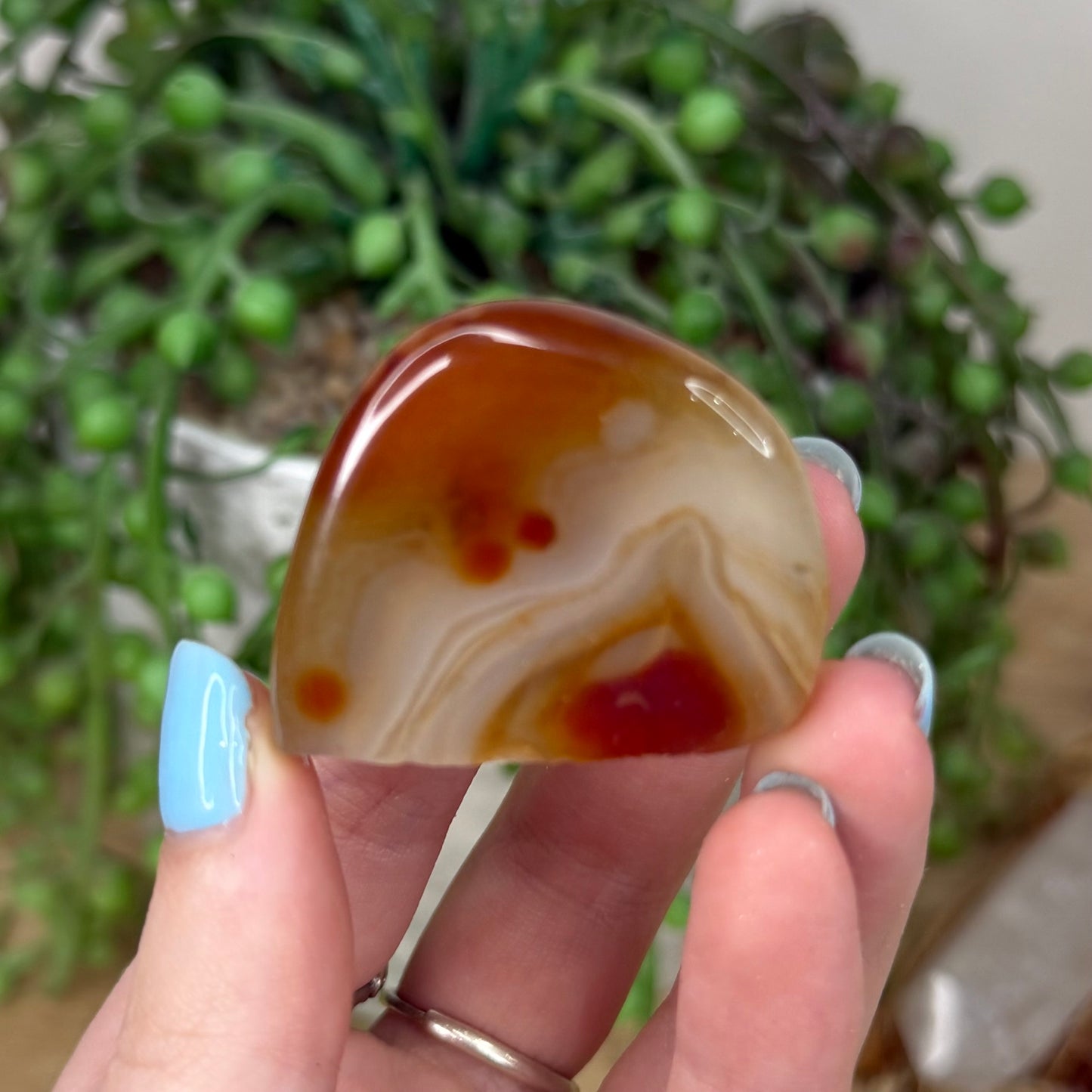 Sardonyx Pet Rock (Z19)