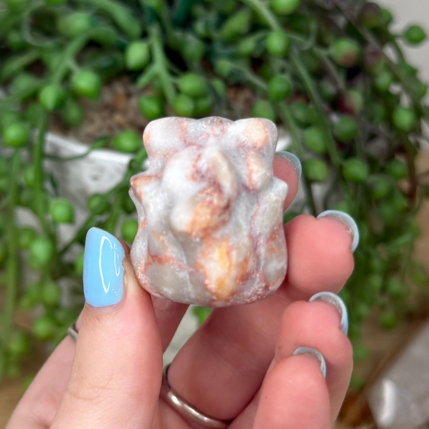 Red Vein Jasper Nine Tail Fox (Y953)