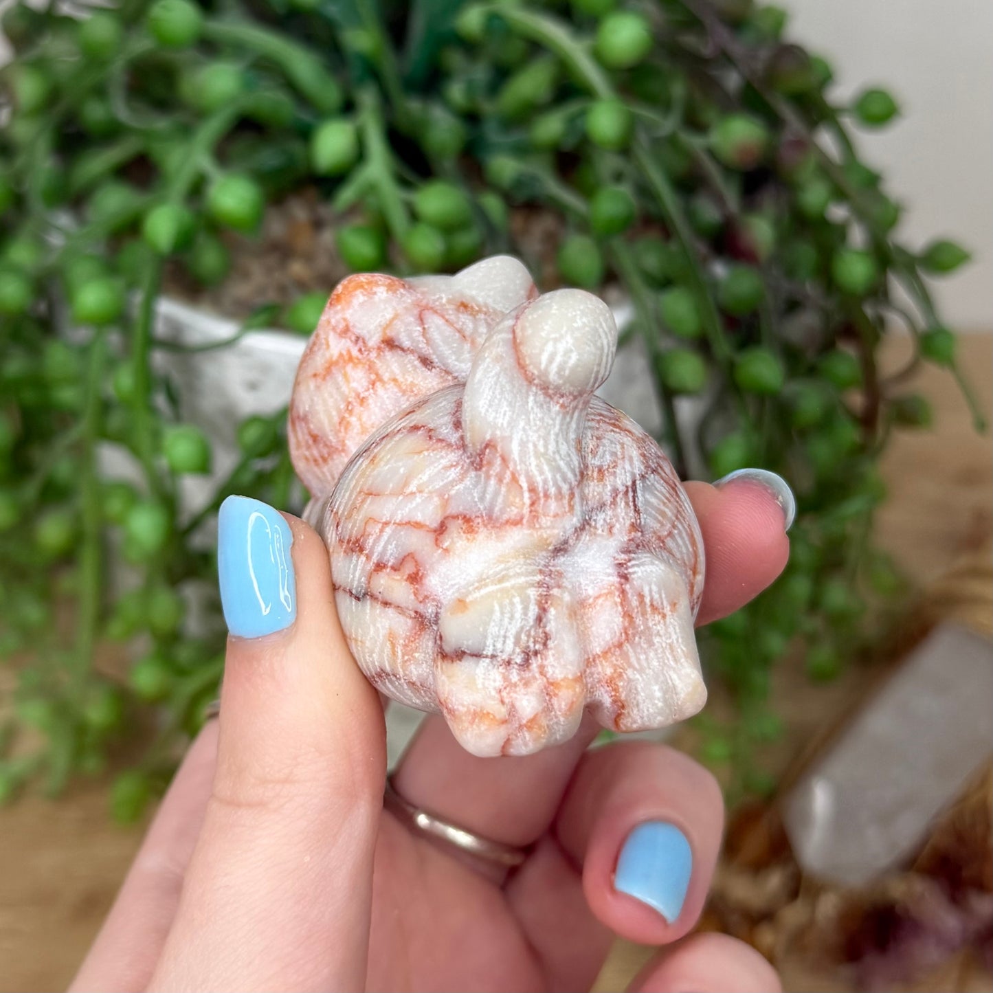 Red Vein Jasper Cat (Y960)