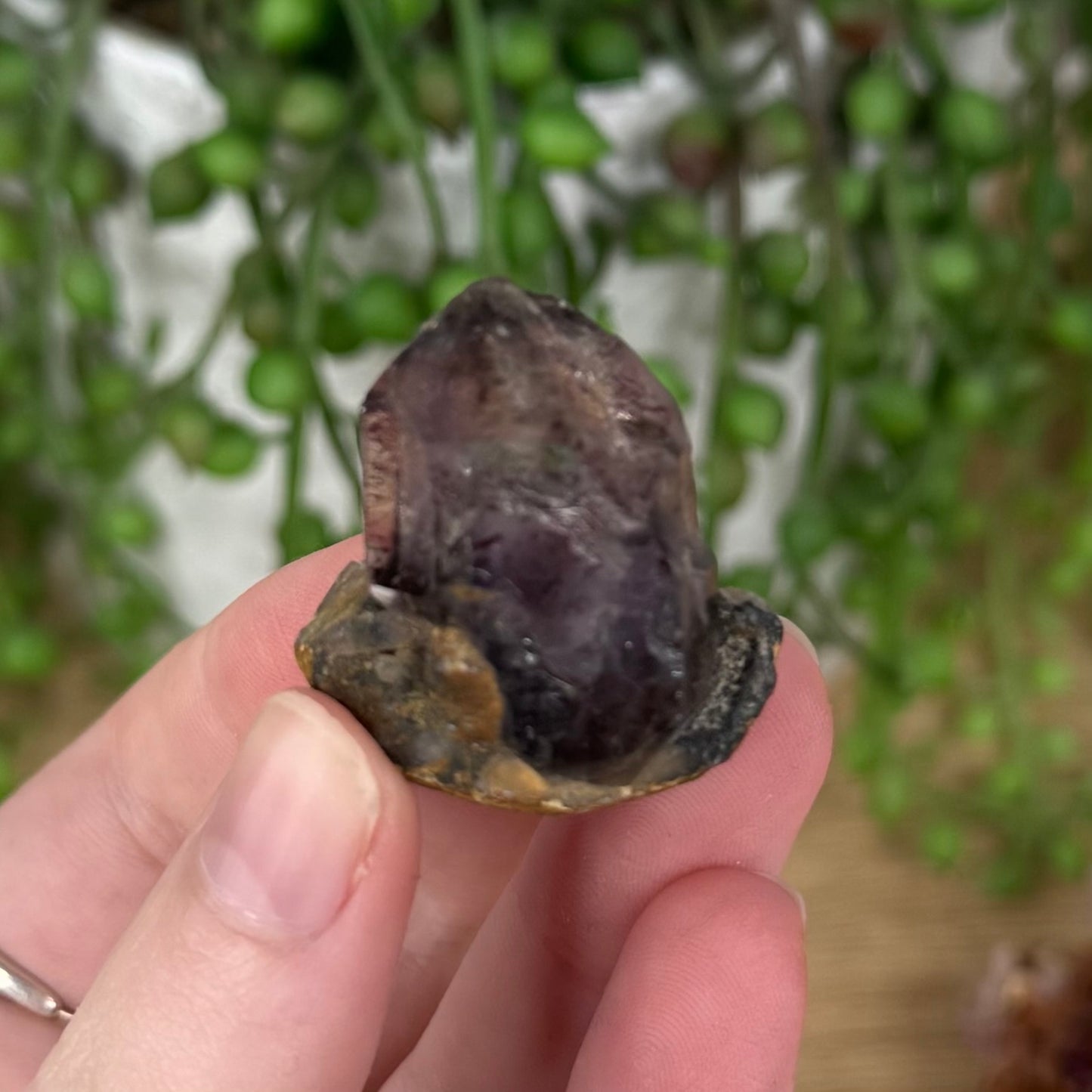 Super Seven Specimen (S833)