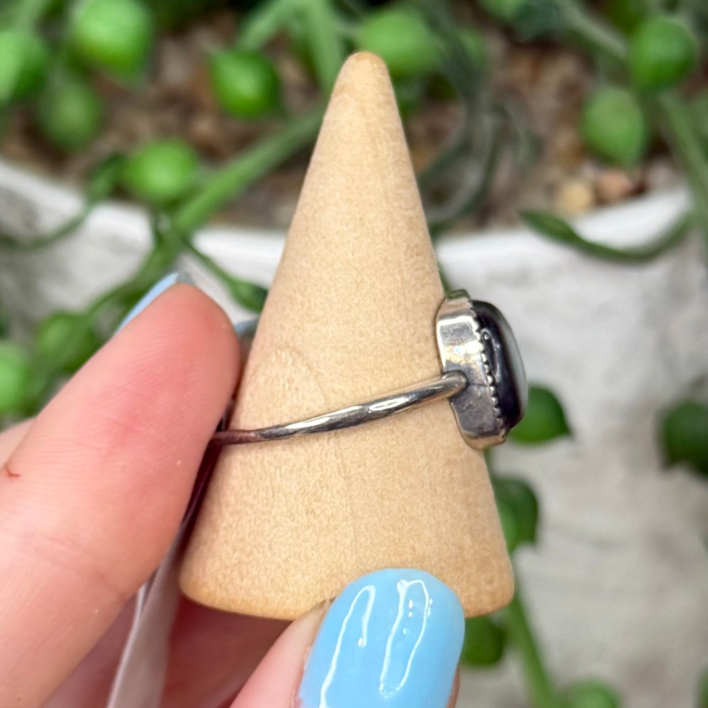 Shell S925 Ring (X172)