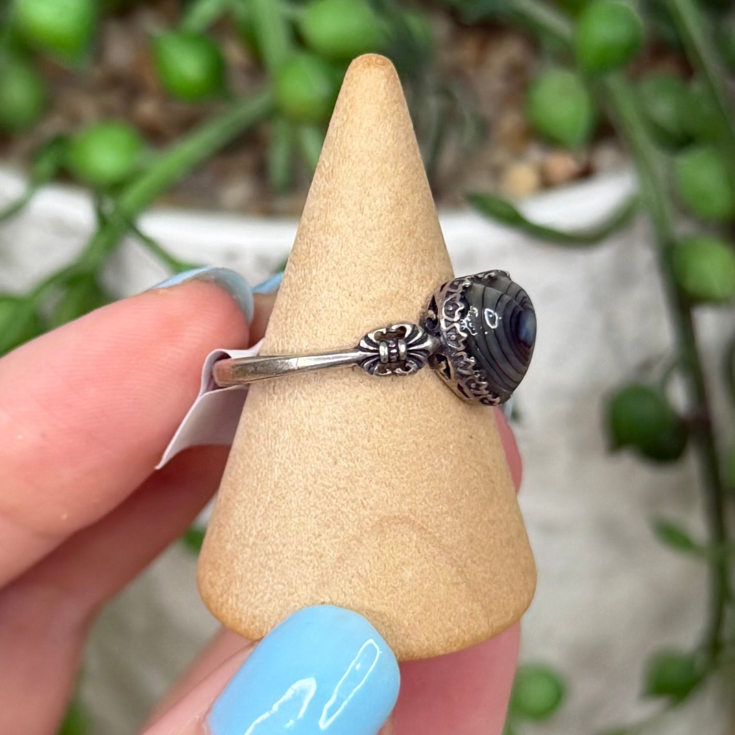 Shell S925 Ring (Y979)