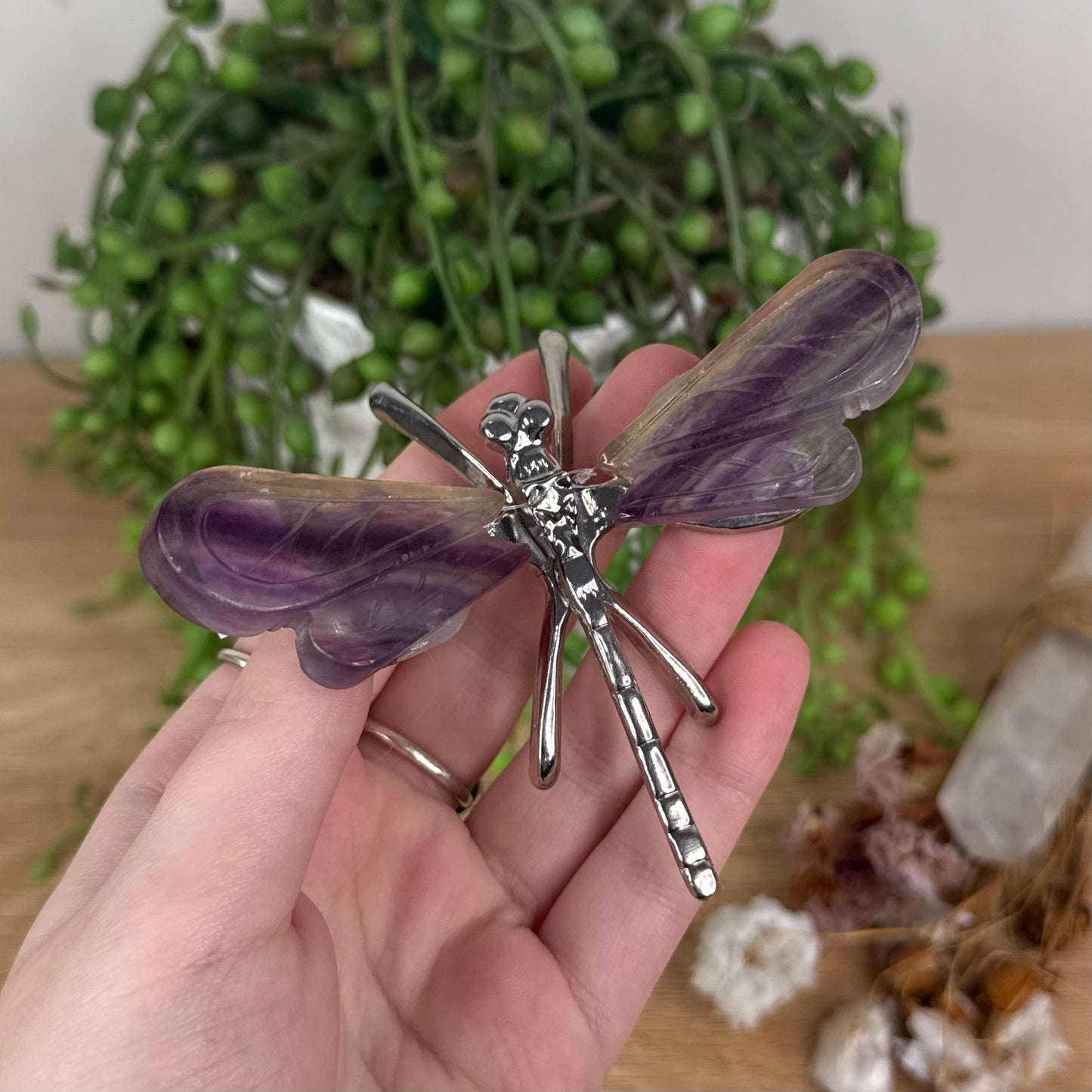 Fluorite Dragonfly (S971)
