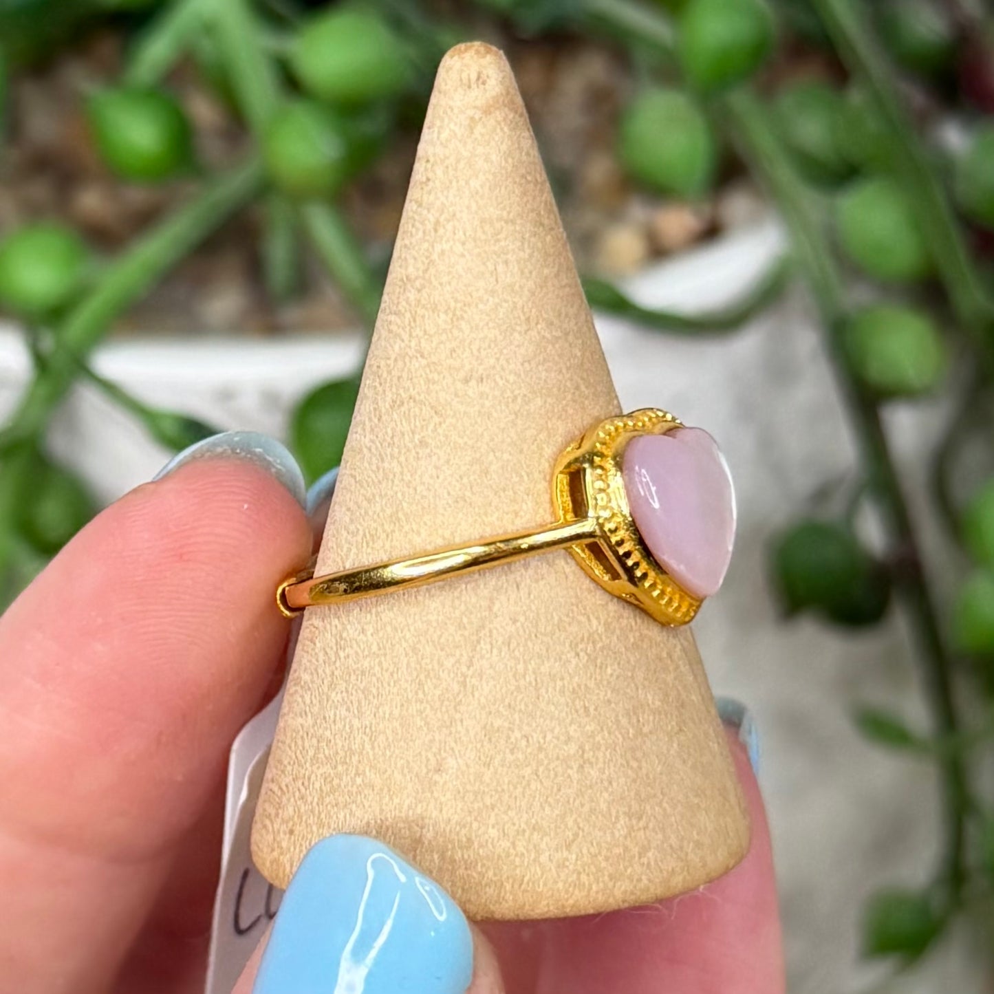 Shell Gold Plated Ring (X177)
