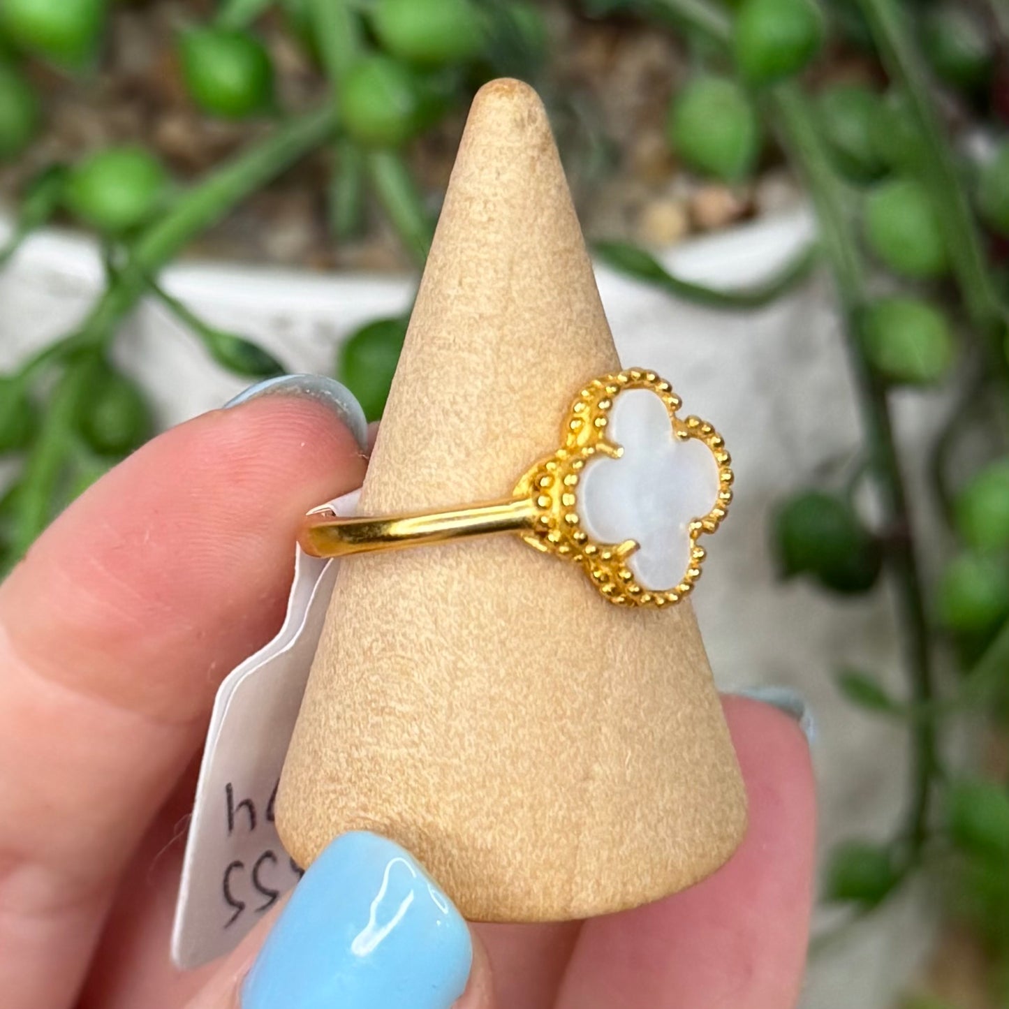 Shell Gold Plated Ring (X174)