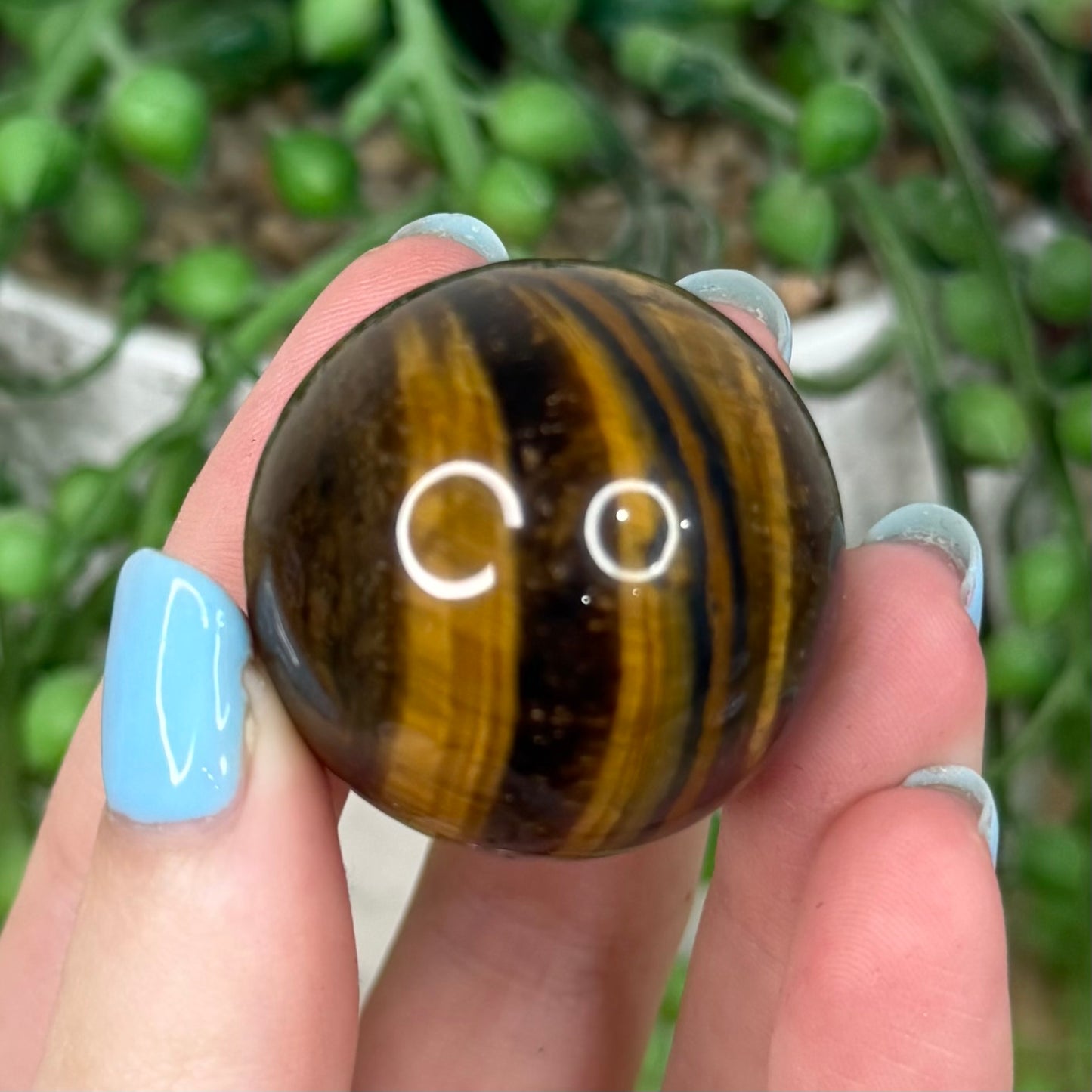 Tiger Eye Sphere (Y446)