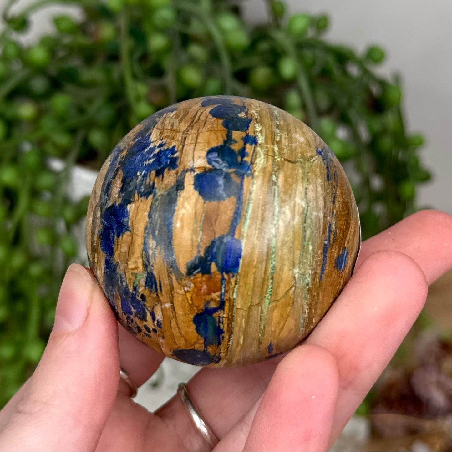 Azurite In Petrified Wood Sphere (S842)