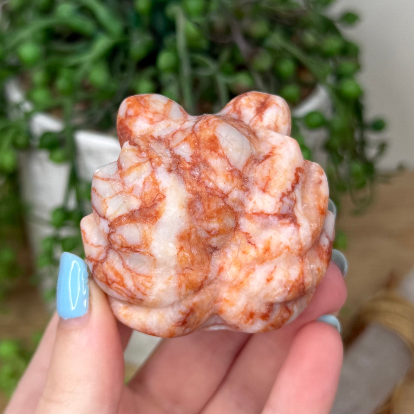 Red Vein Jasper Nine Tail Fox (Z178)