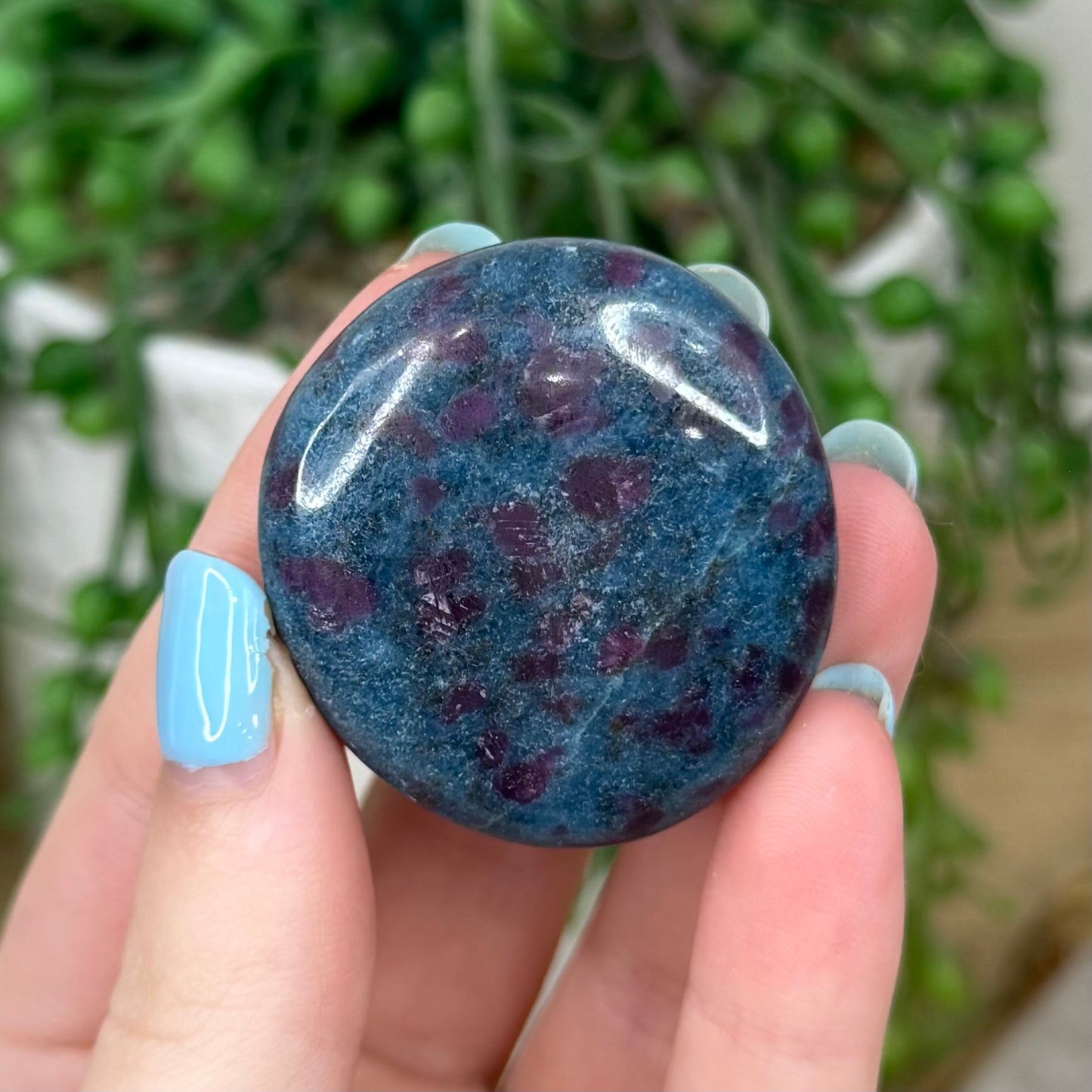 Ruby In Kyanite Flat Stone (Z149)