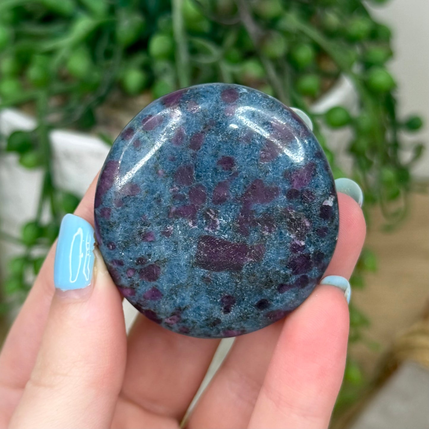 Ruby In Kyanite Flat Stone (Z154)