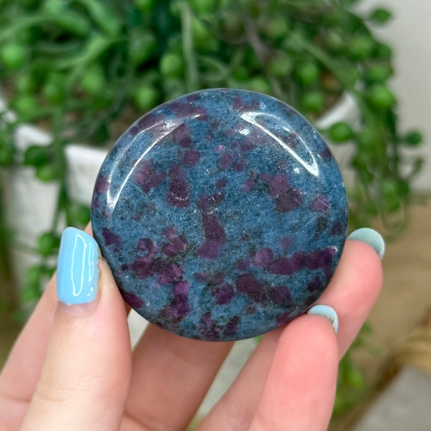 Ruby In Kyanite Flat Stone (Z156)