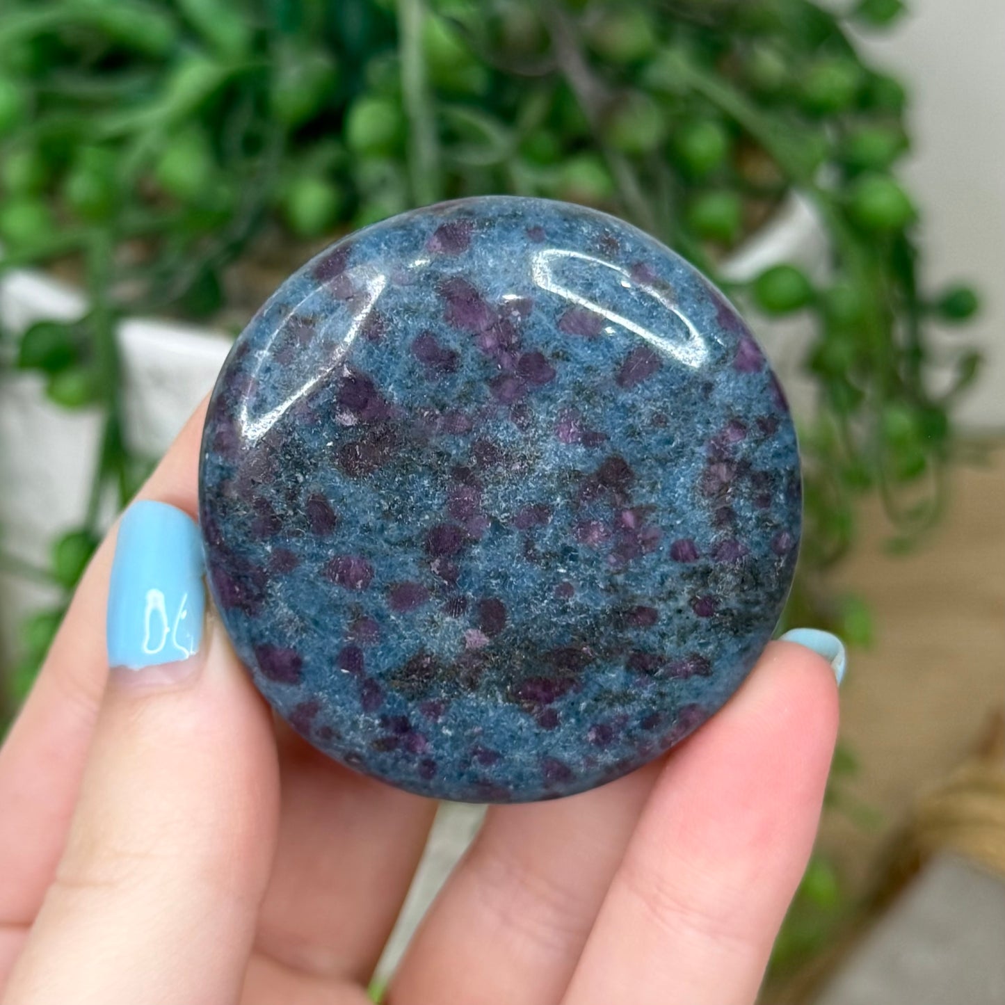Ruby In Kyanite Flat Stone (Z164)