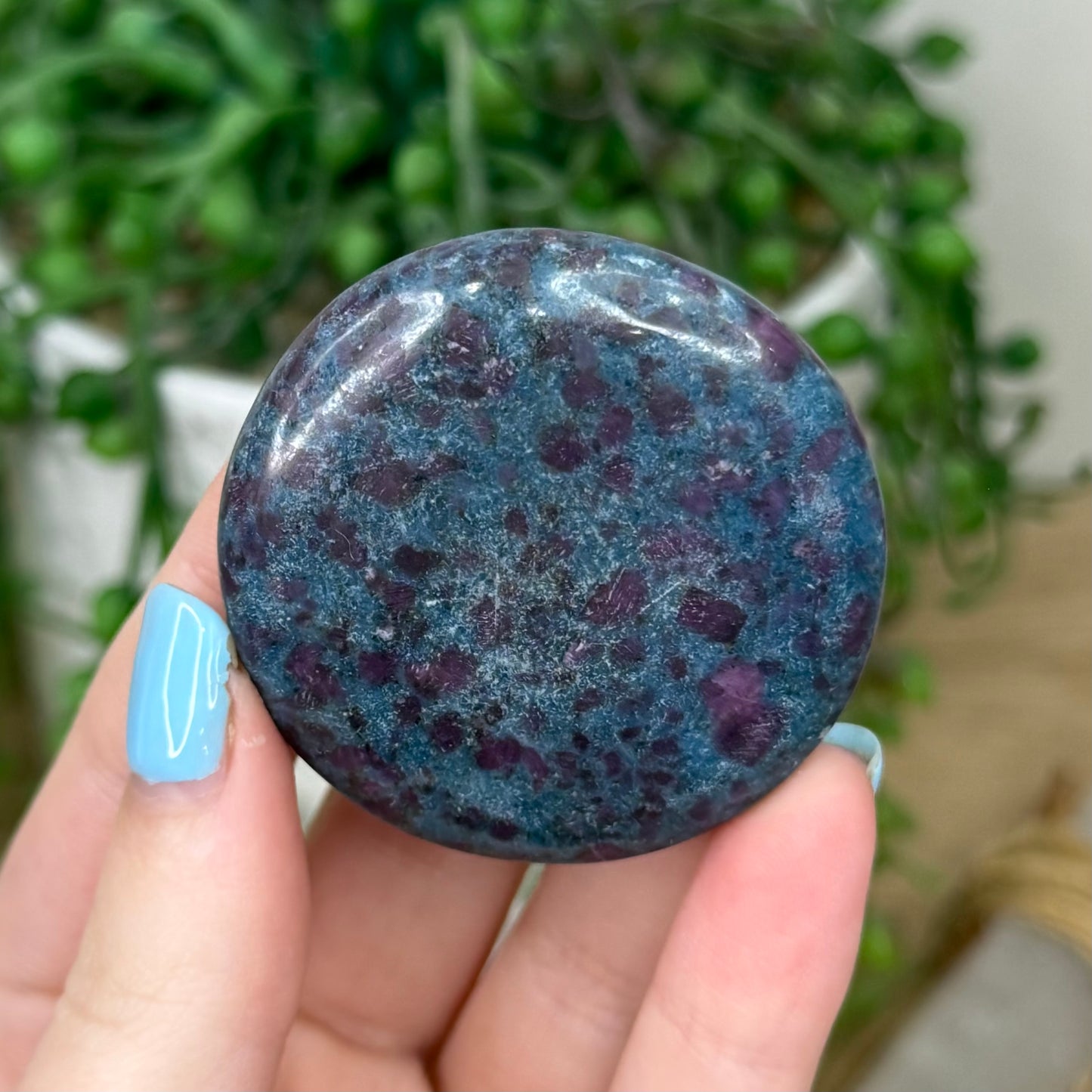 Ruby In Kyanite Flat Stone (Z160)