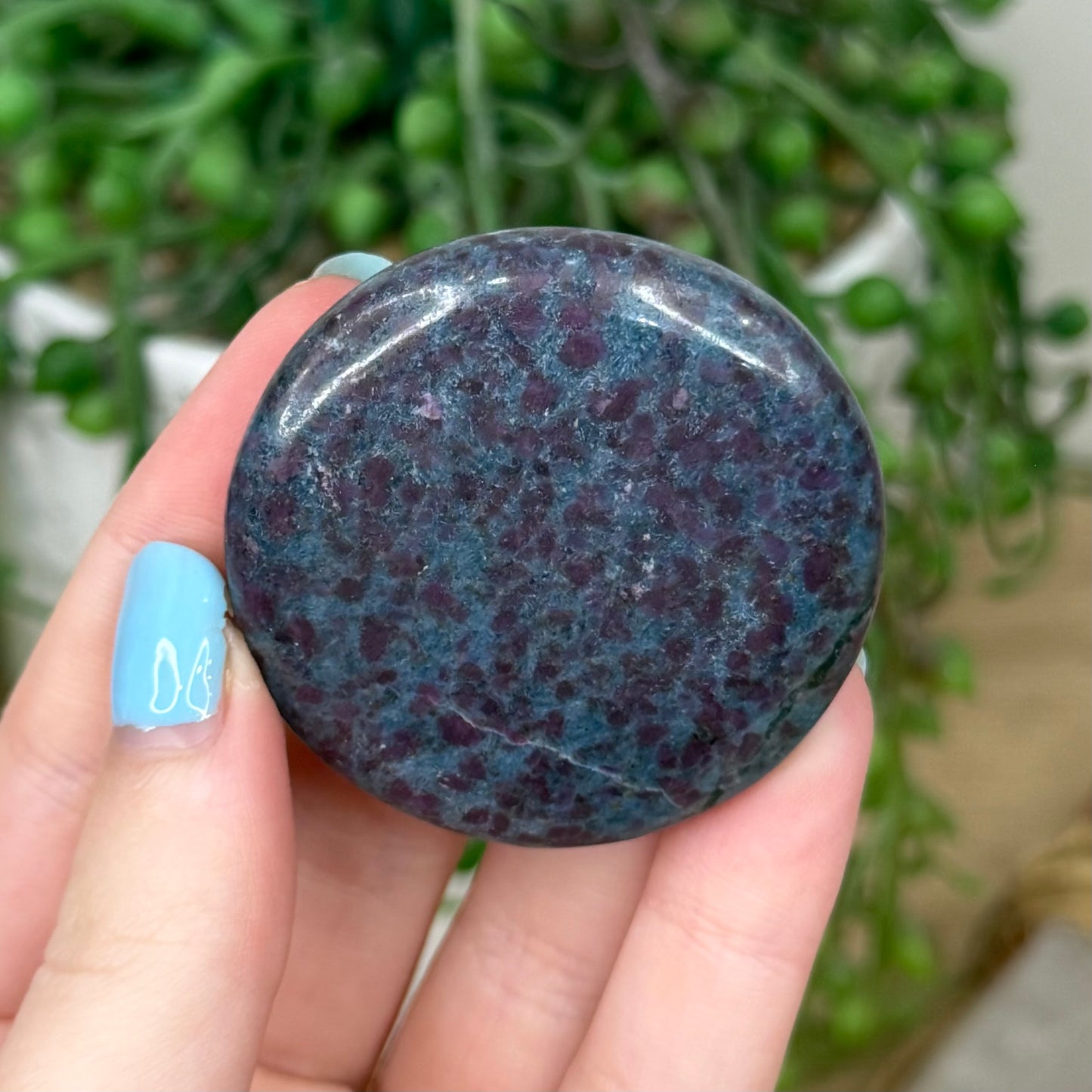 Ruby In Kyanite Flat Stone (Z155)