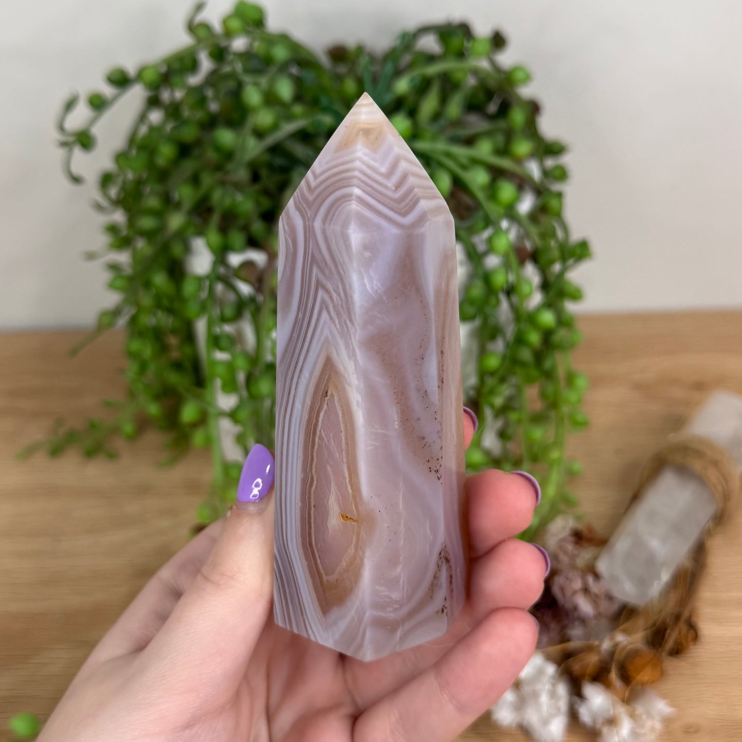 Pink Agate Point (T221)