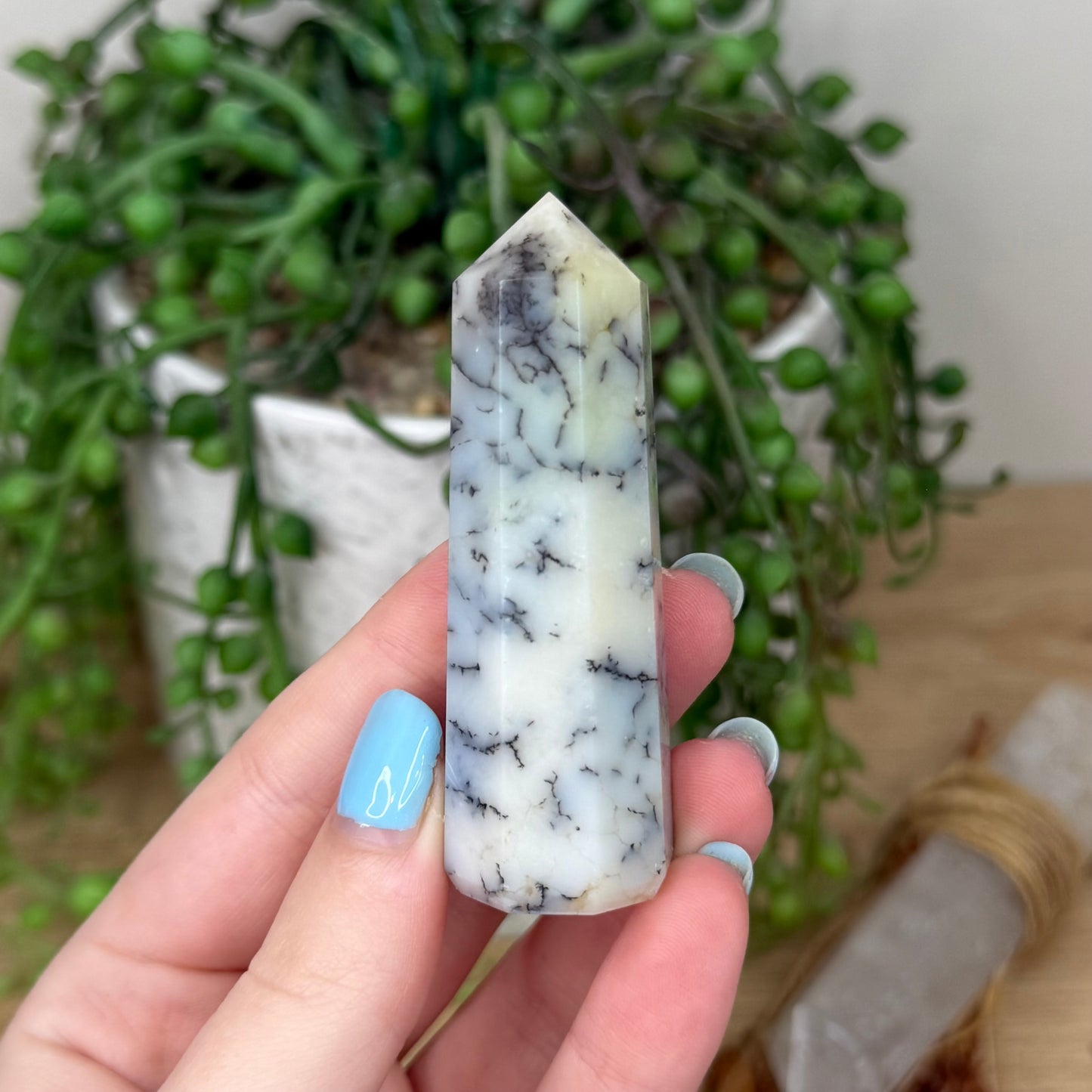 Dendritic Agate Point (Z262)