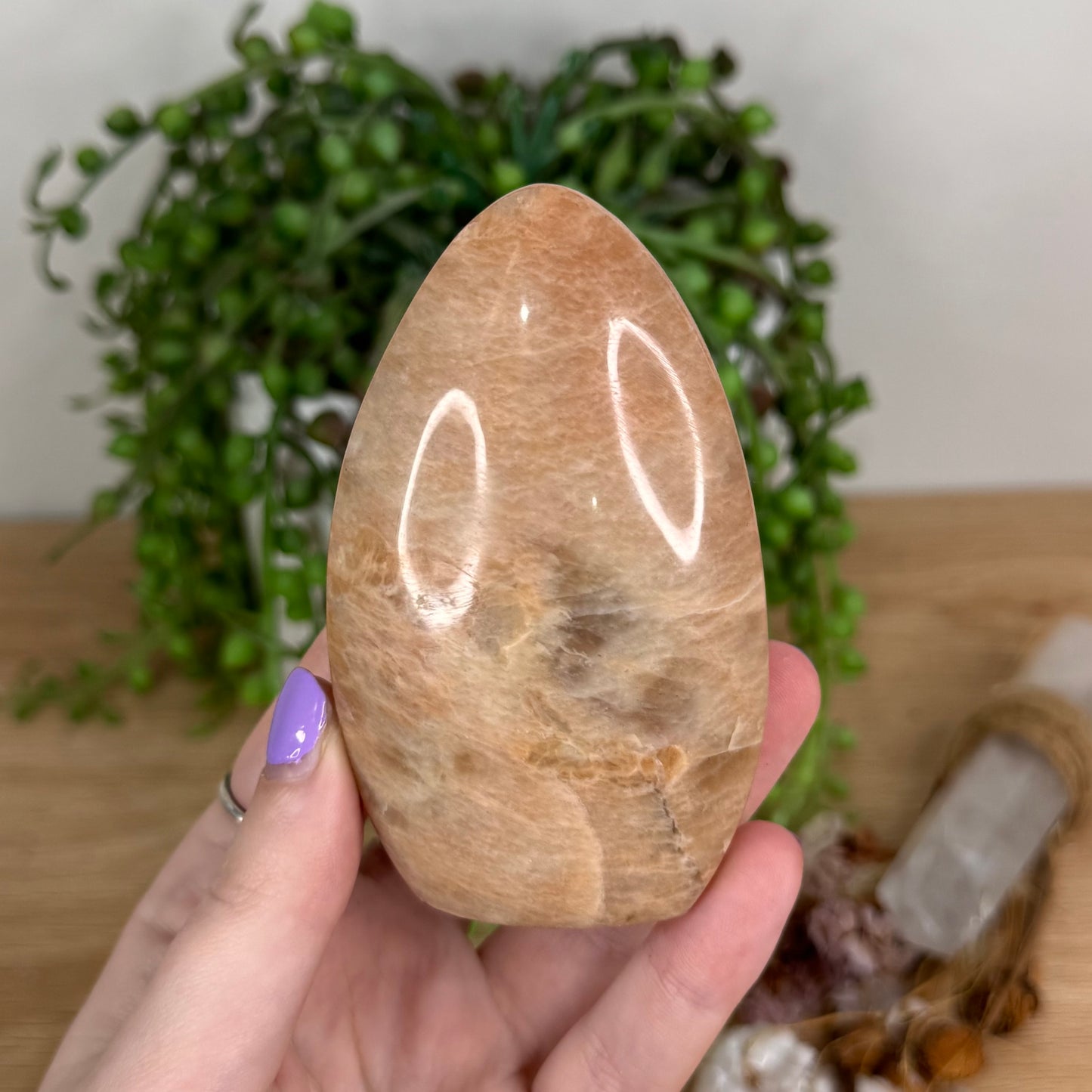 Peach Moonstone / Sunstone Arch Free Form (T313)