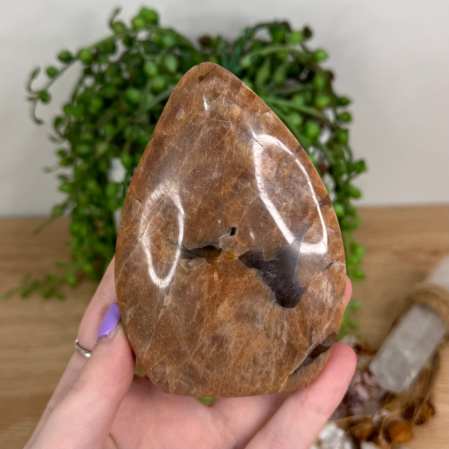 Peach Moonstone / Sunstone Arch Free Form (T314)