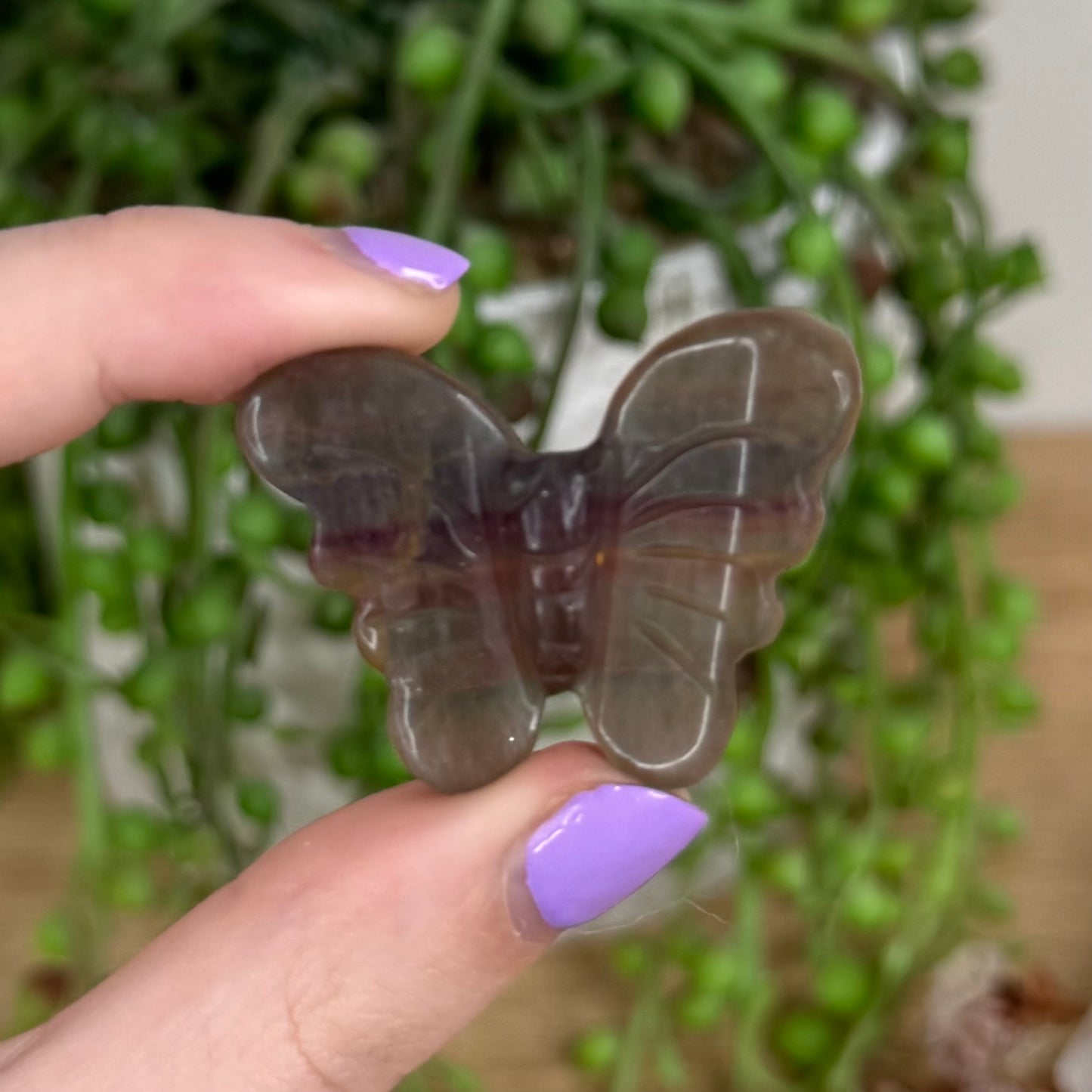 Fluorite Butterfly (T282)