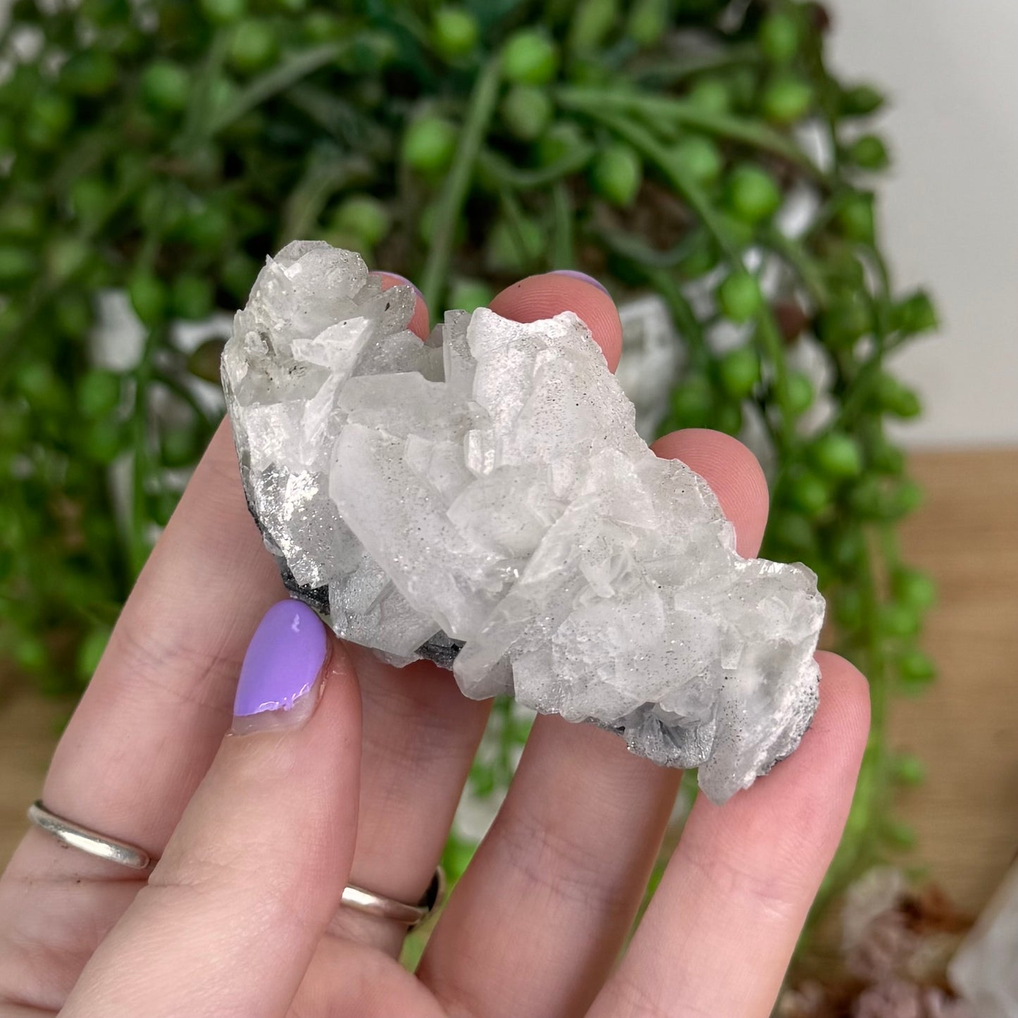Calcite / Pyrite Cluster (T737)