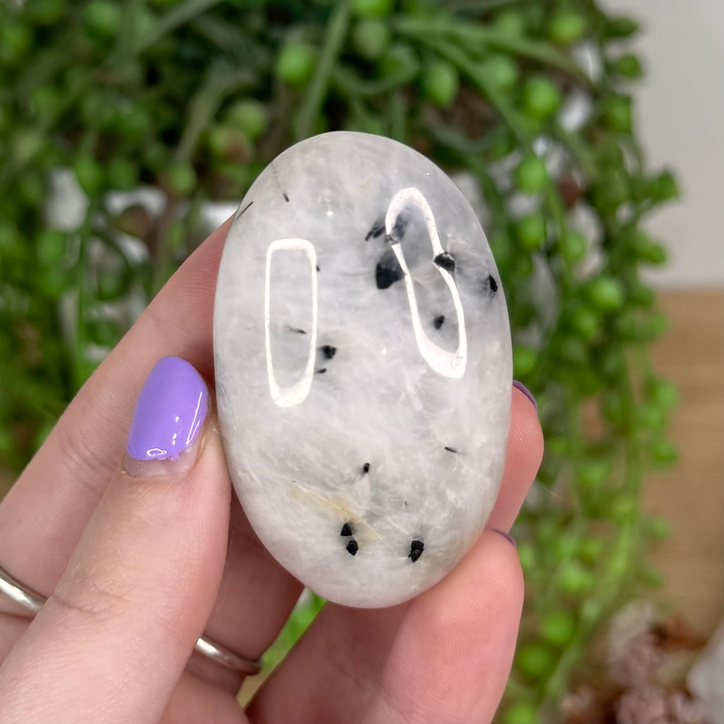 Tourmaline In Quartz Palm Stone (T227)