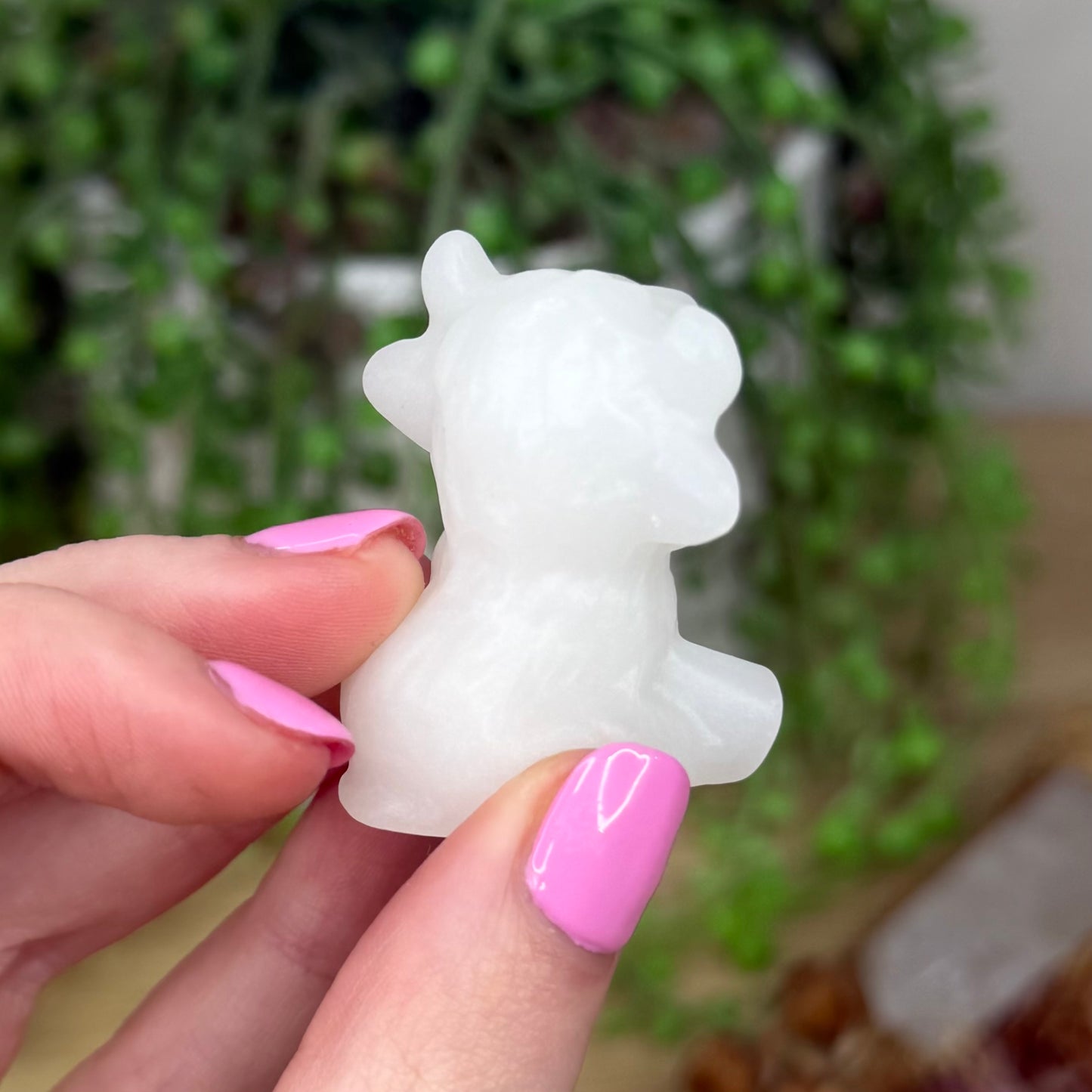 White Jade Highland Cow (Z510)