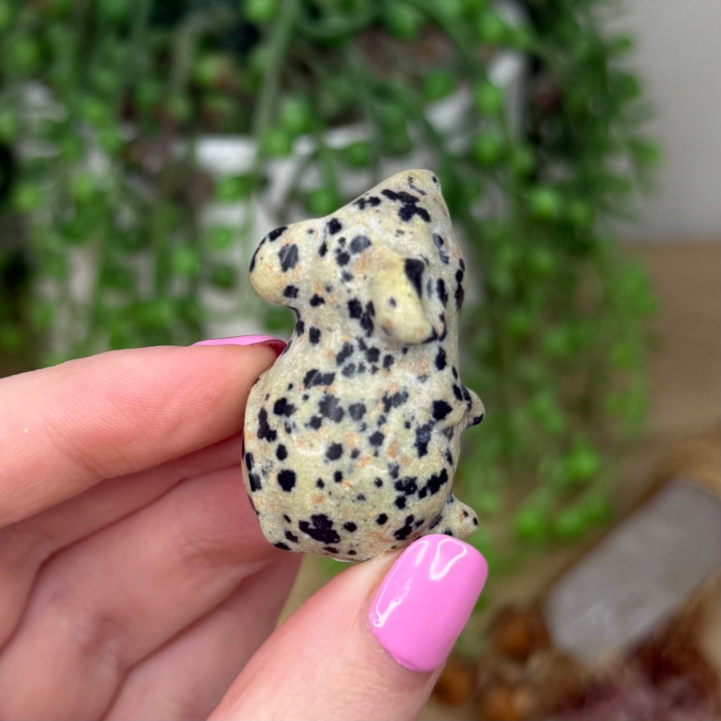 Dalmatian Jasper Mouse (Z498)