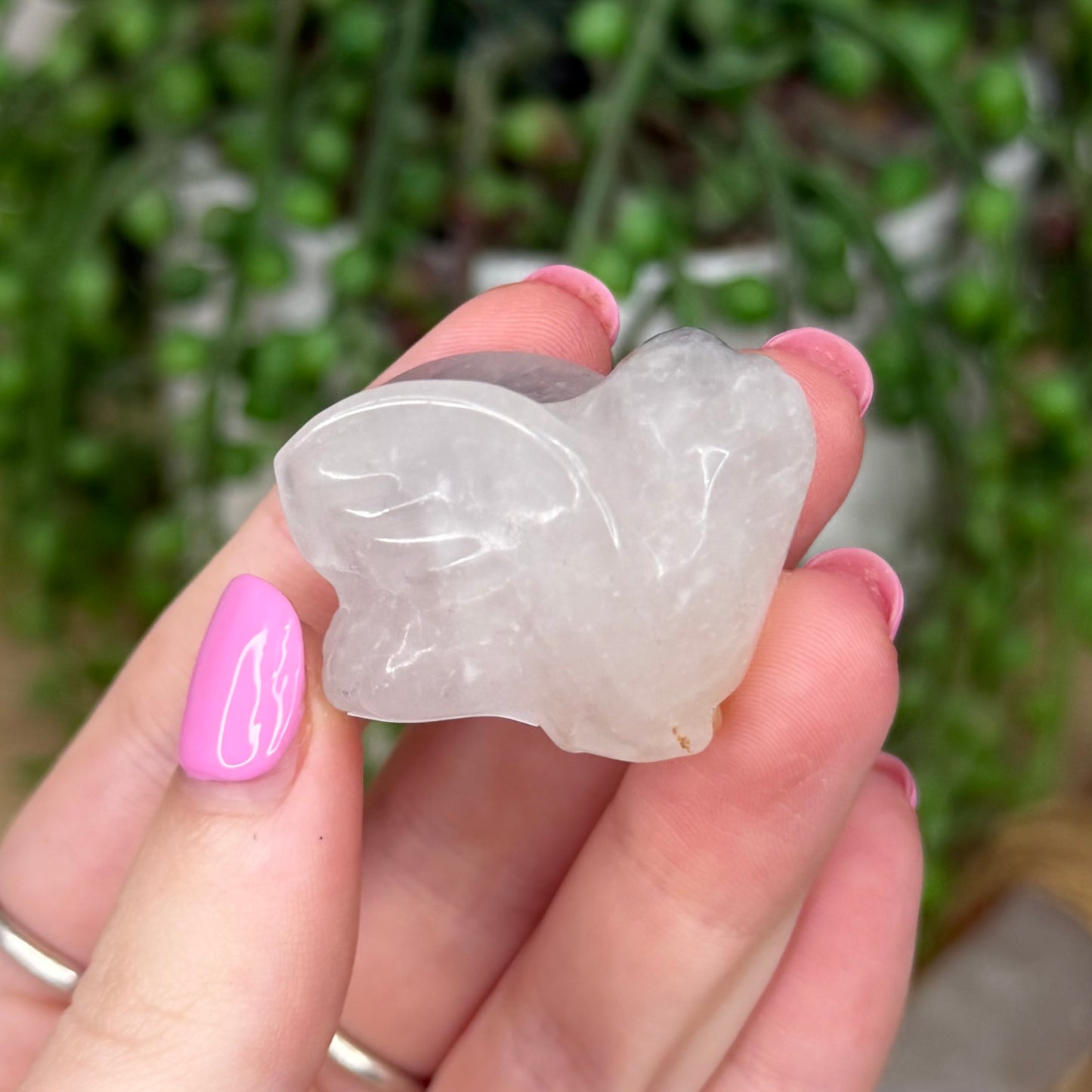 Tourmaline In Quartz Bird (Z650)