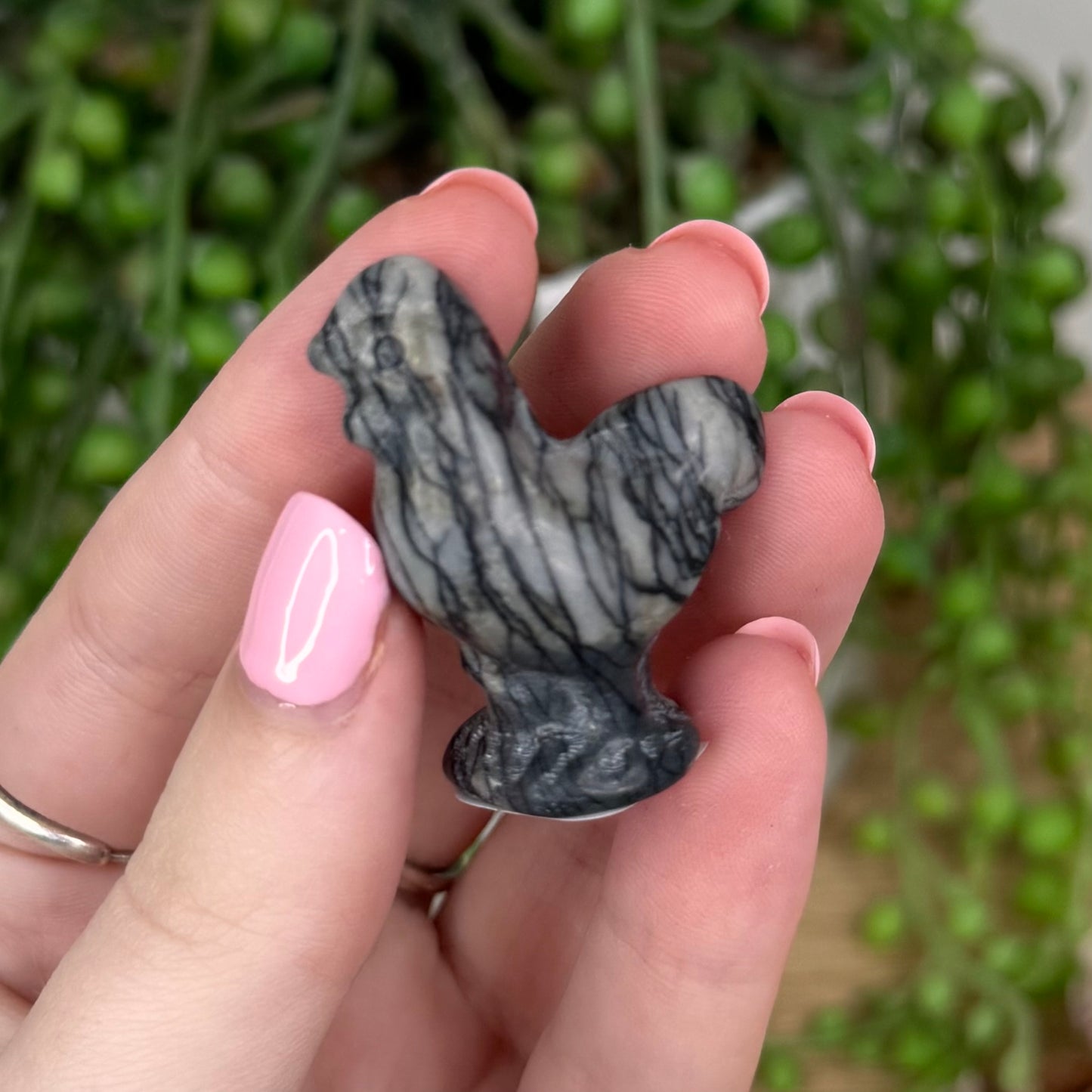 Picasso Jasper Chicken (T928)
