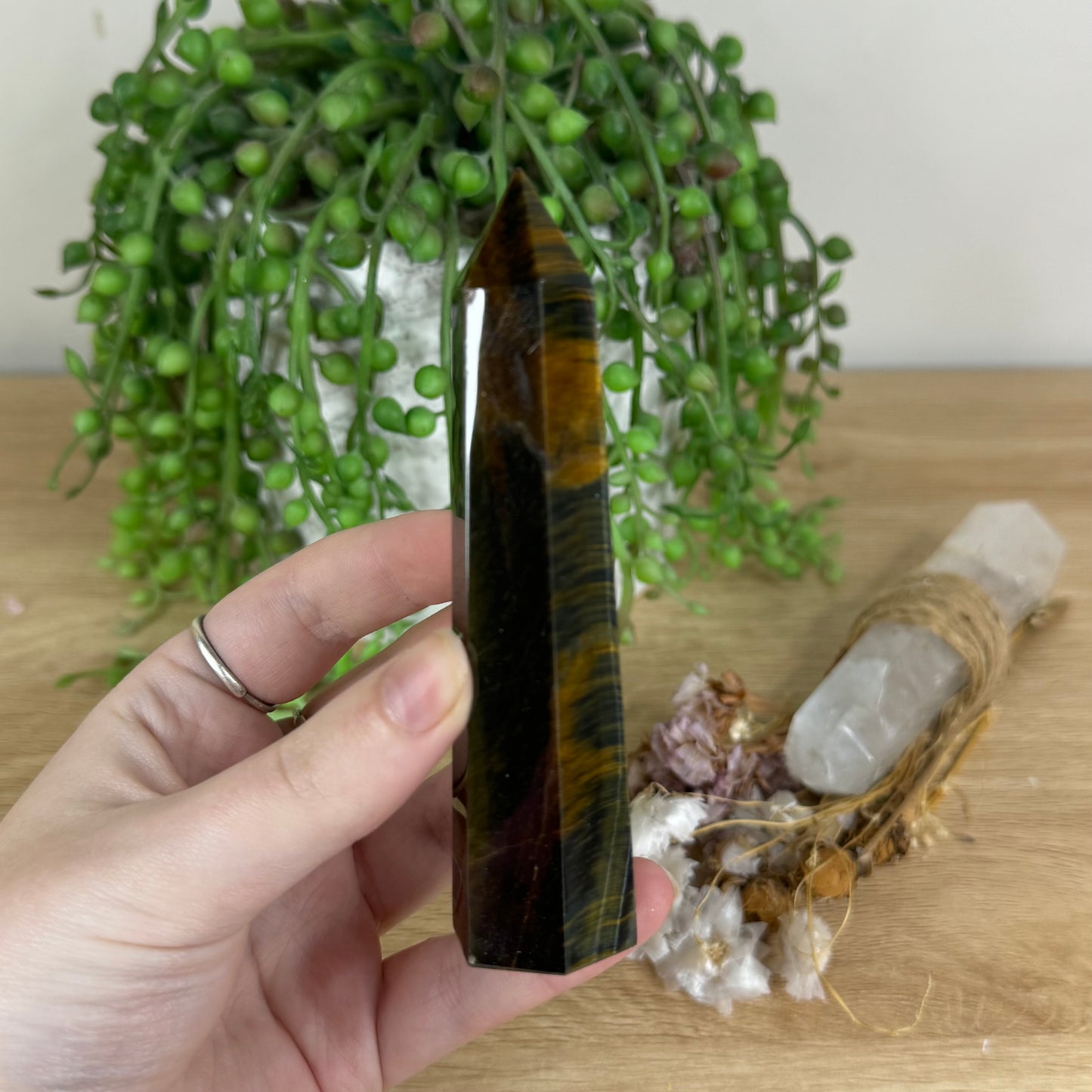 Tiger Eye Point (P215)