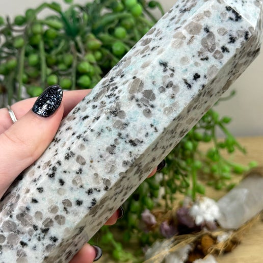 Kiwi Jasper Towers (E412)