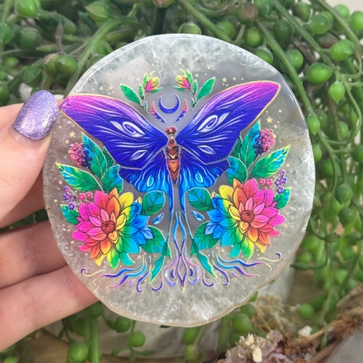 Rainbow Butterfly Agate Slice (G689) (G690) (G691)