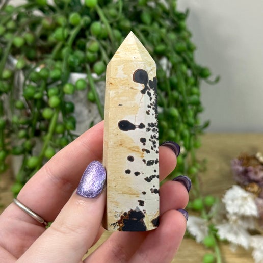 Picture Stone Jasper Point (B122)