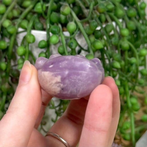 Lepidolite Paw (K101)