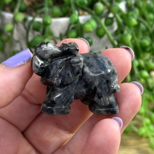 Larvikite Elephant (H481)