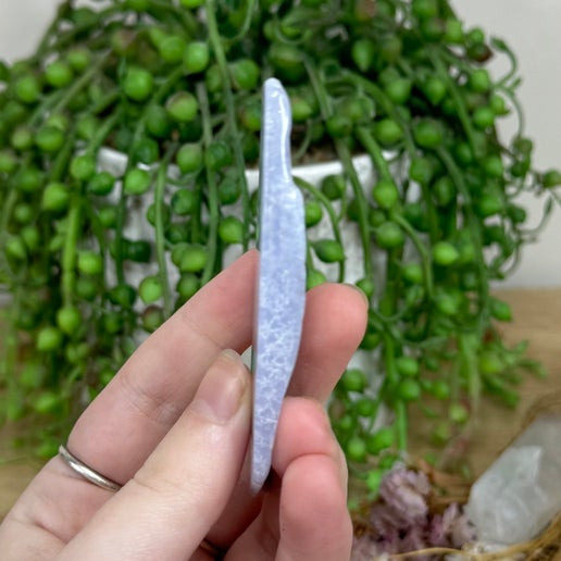 Blue Lace Agate Slice (M63)