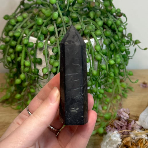 Shungite Point (L990)